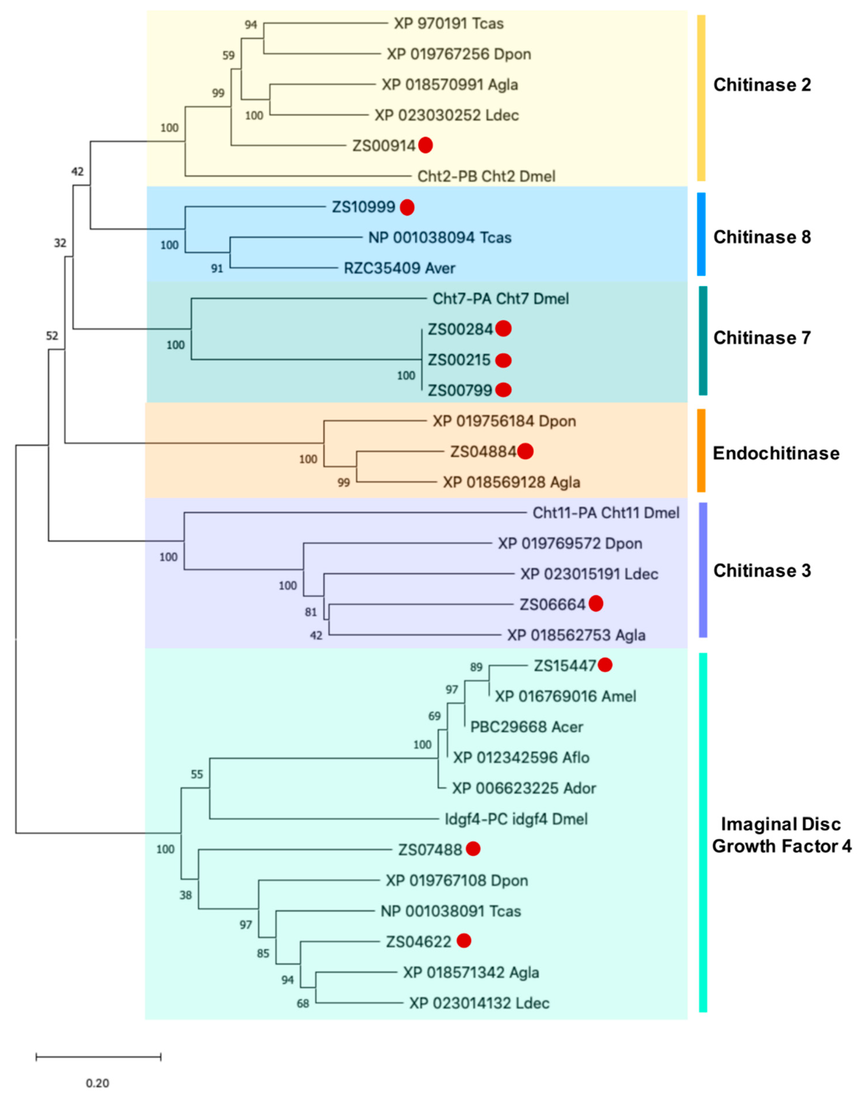 Insects 11 00736 g005