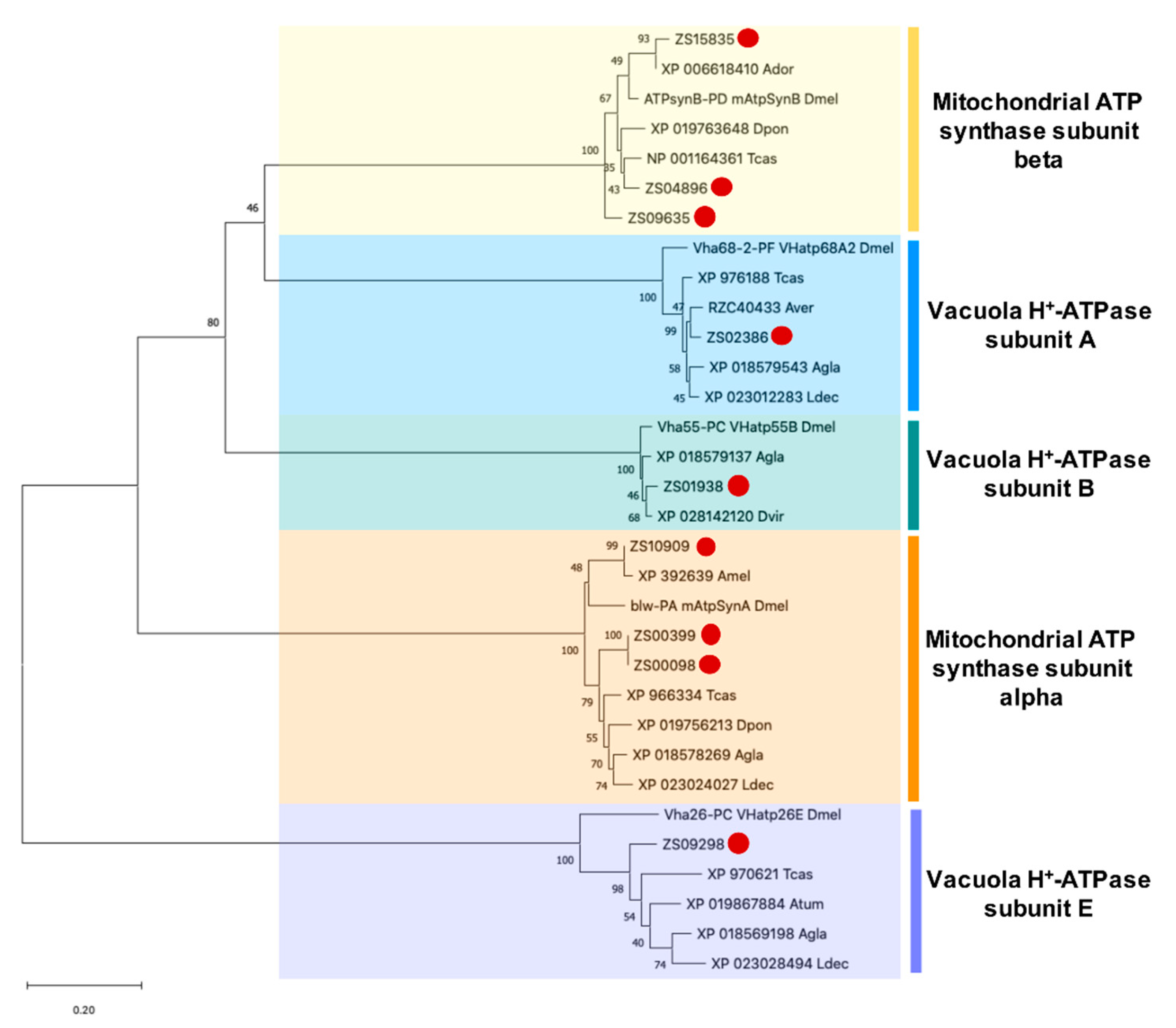 Insects 11 00736 g006