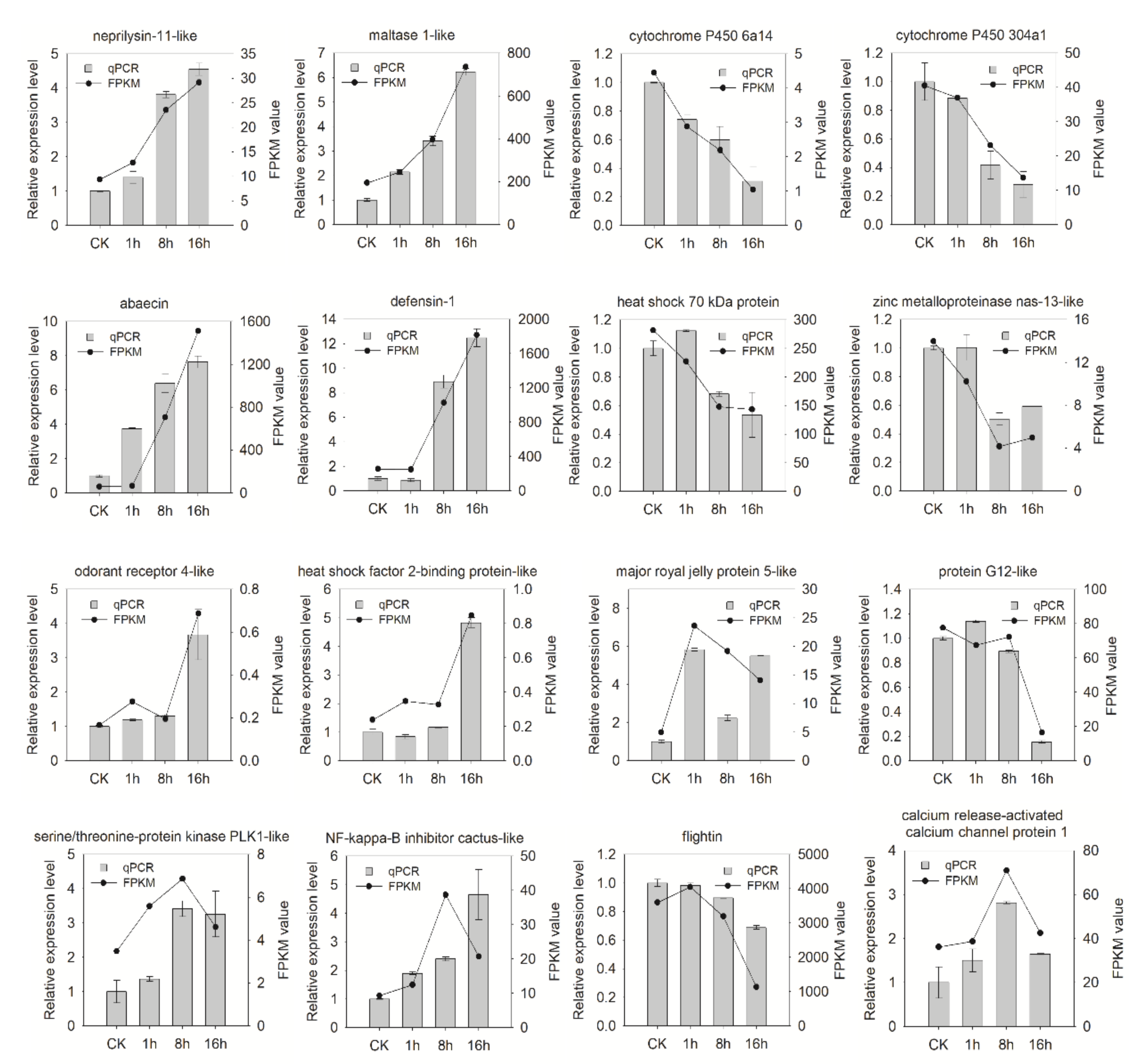 Insects 11 00753 g007