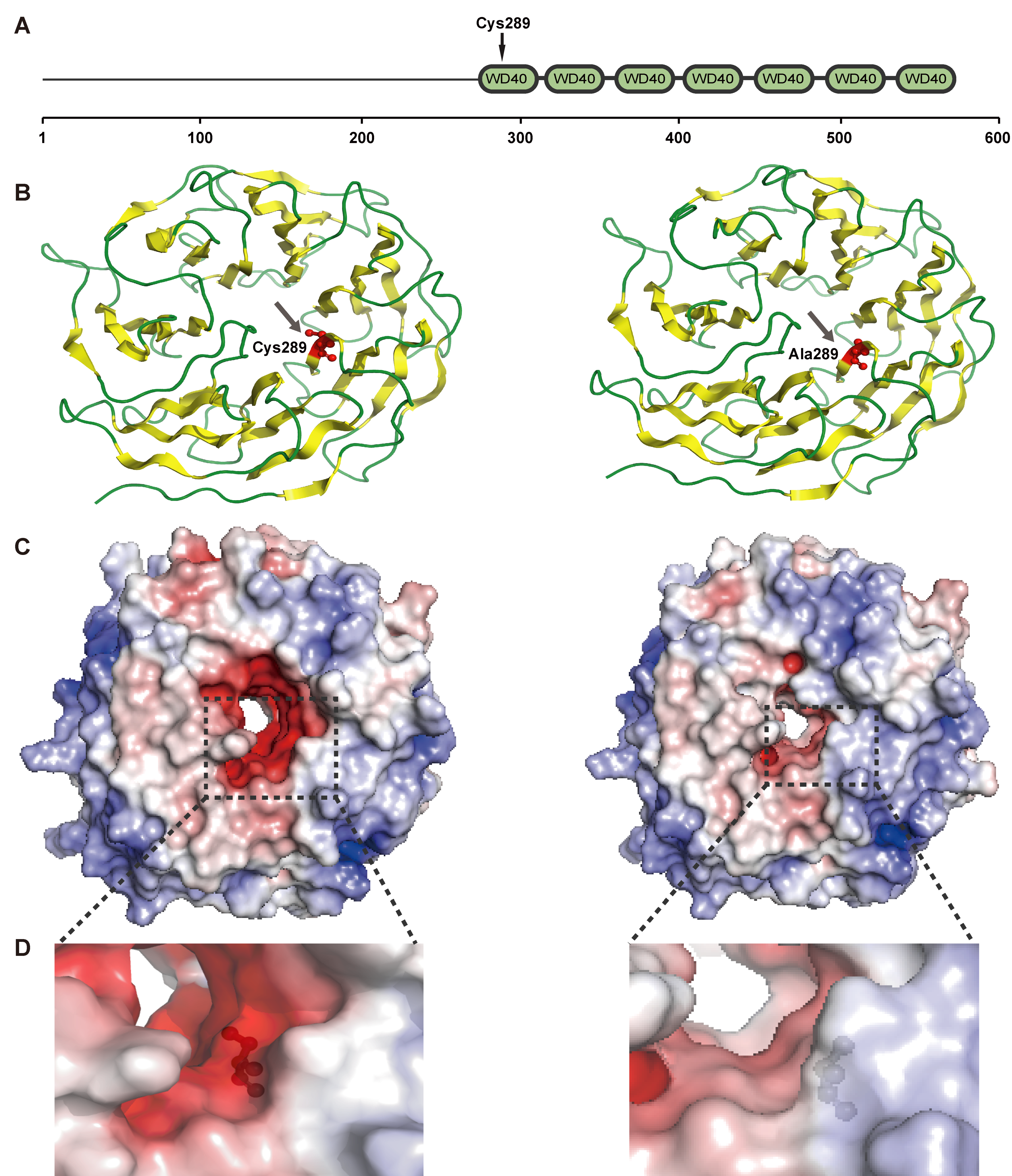 Insects 11 00754 g003
