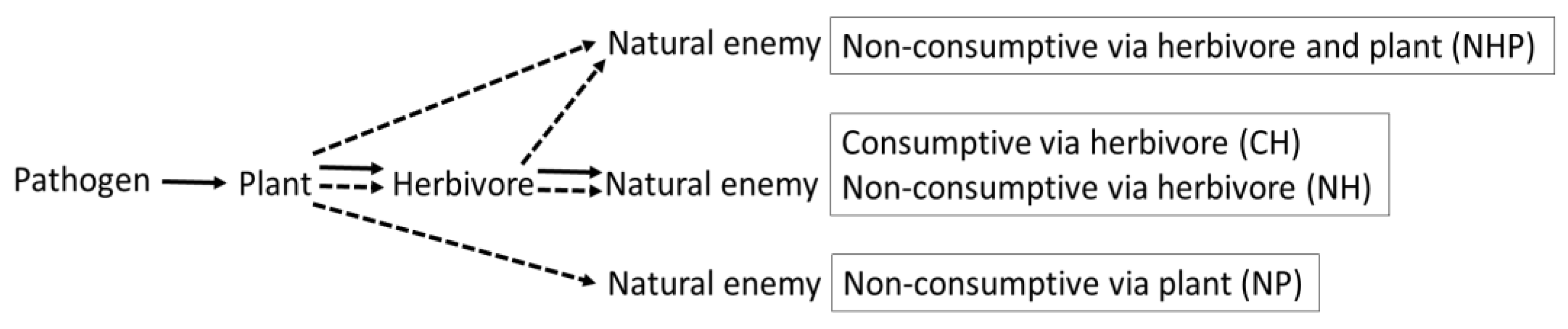 Insects 11 00765 g001