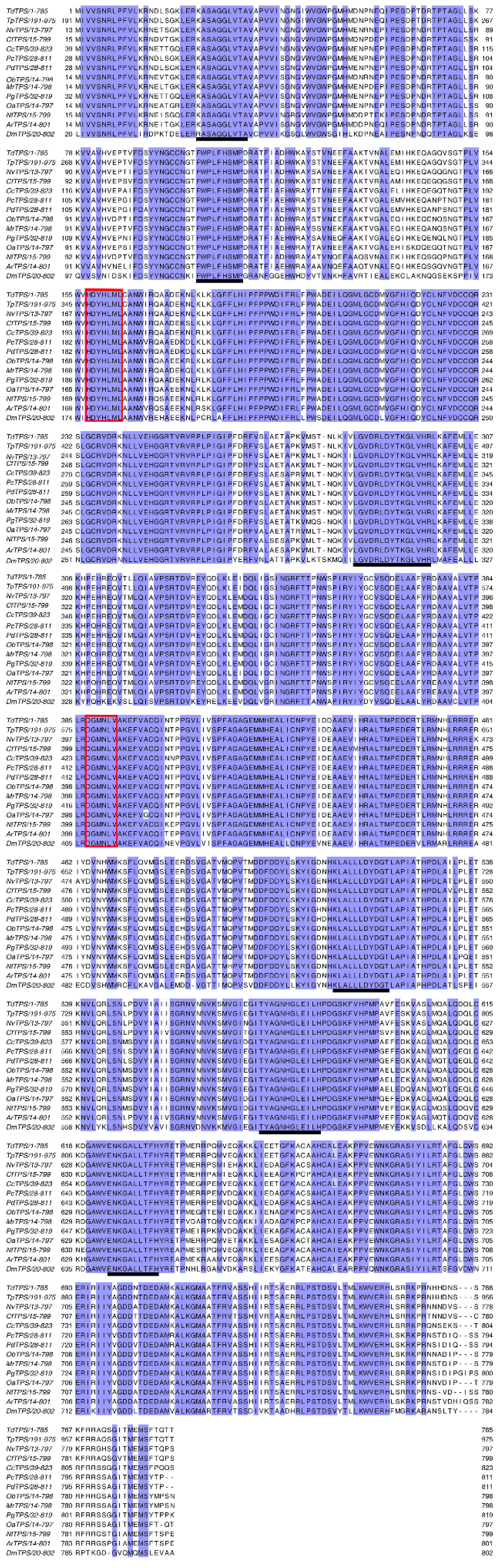 Insects 11 00767 g001