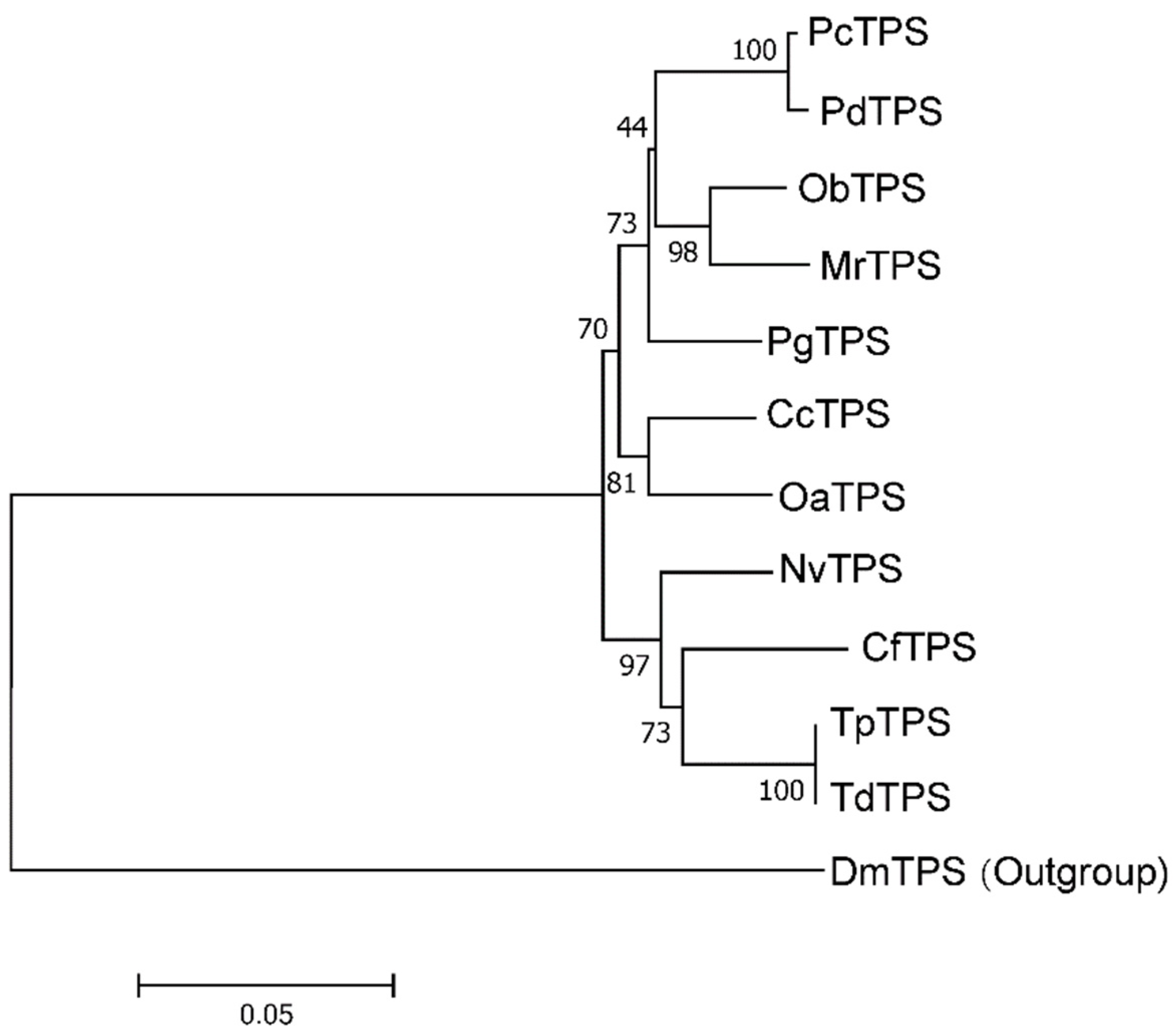 Insects 11 00767 g002