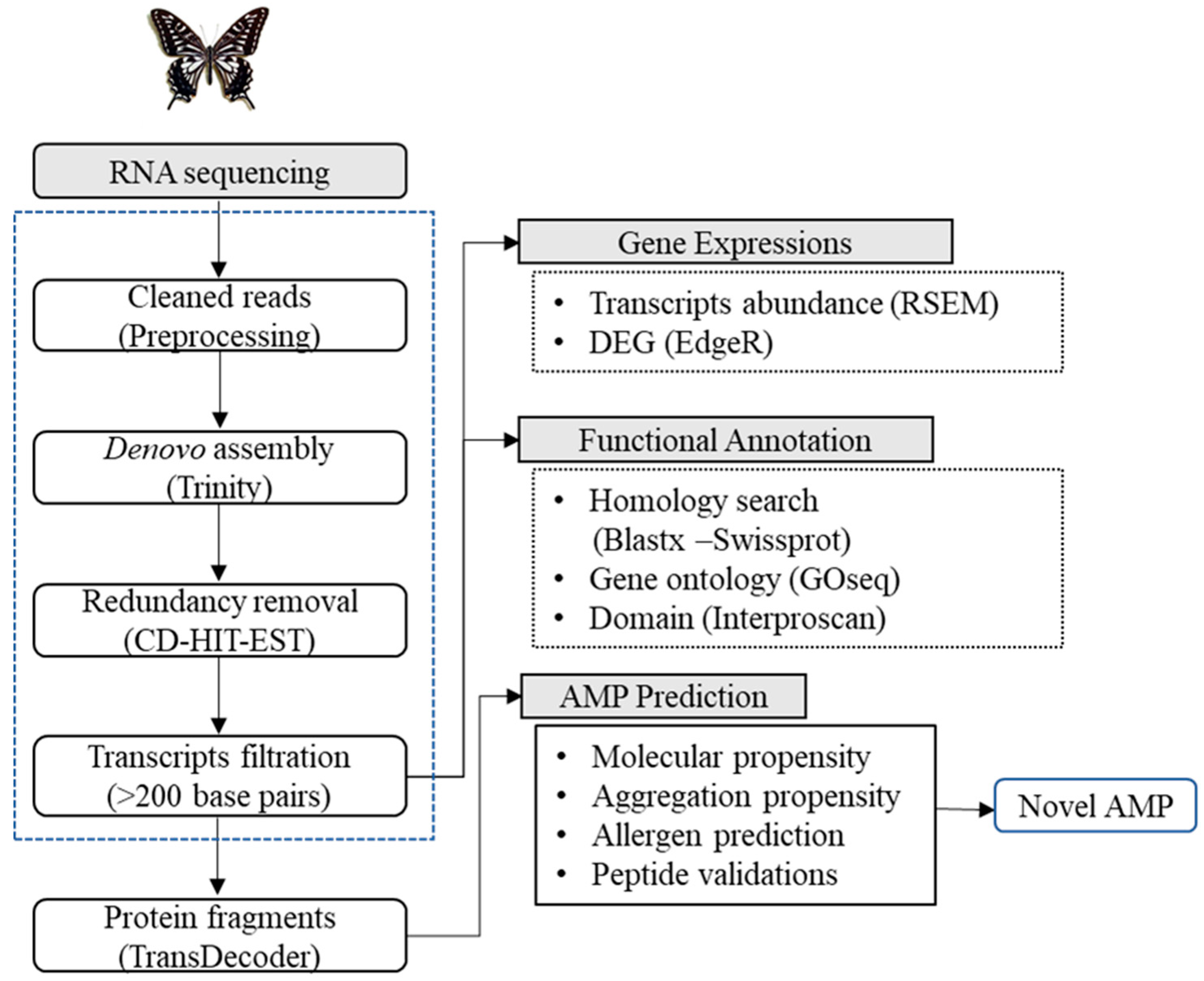 Insects 11 00776 g001 Insects 11 00776 g001