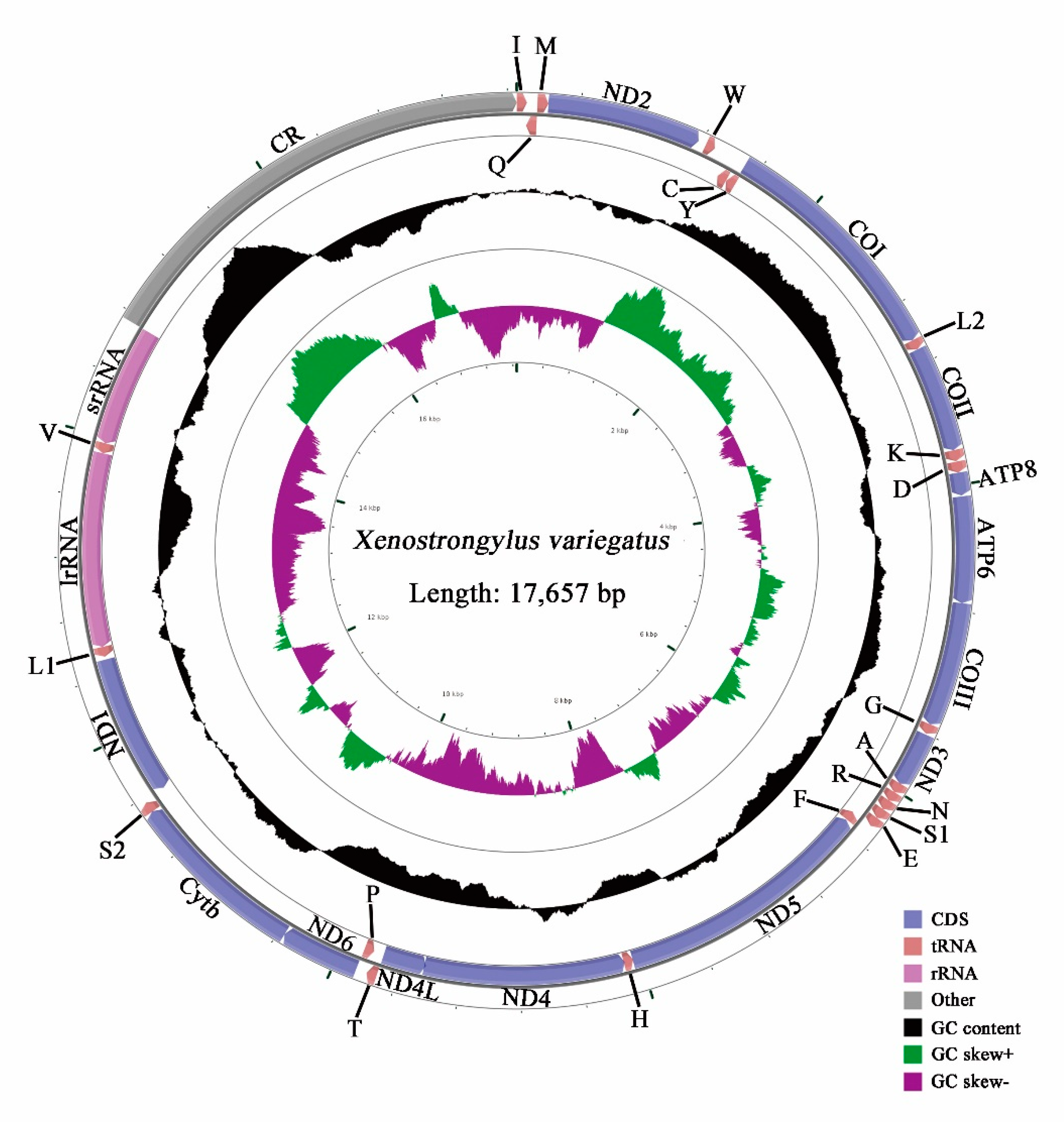 Insects 11 00779 g001 Insects 11 00779 g001