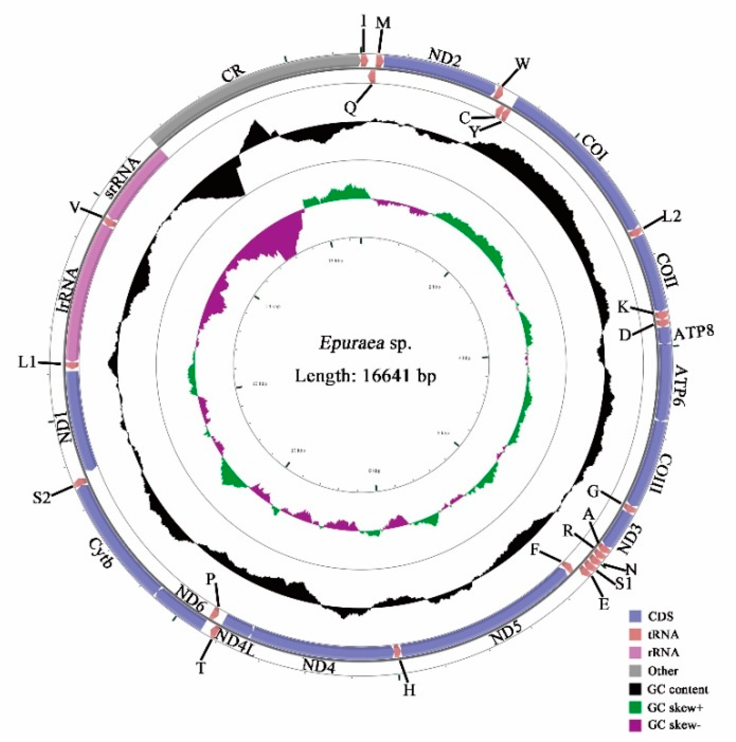 Insects 11 00779 g002 Insects 11 00779 g002
