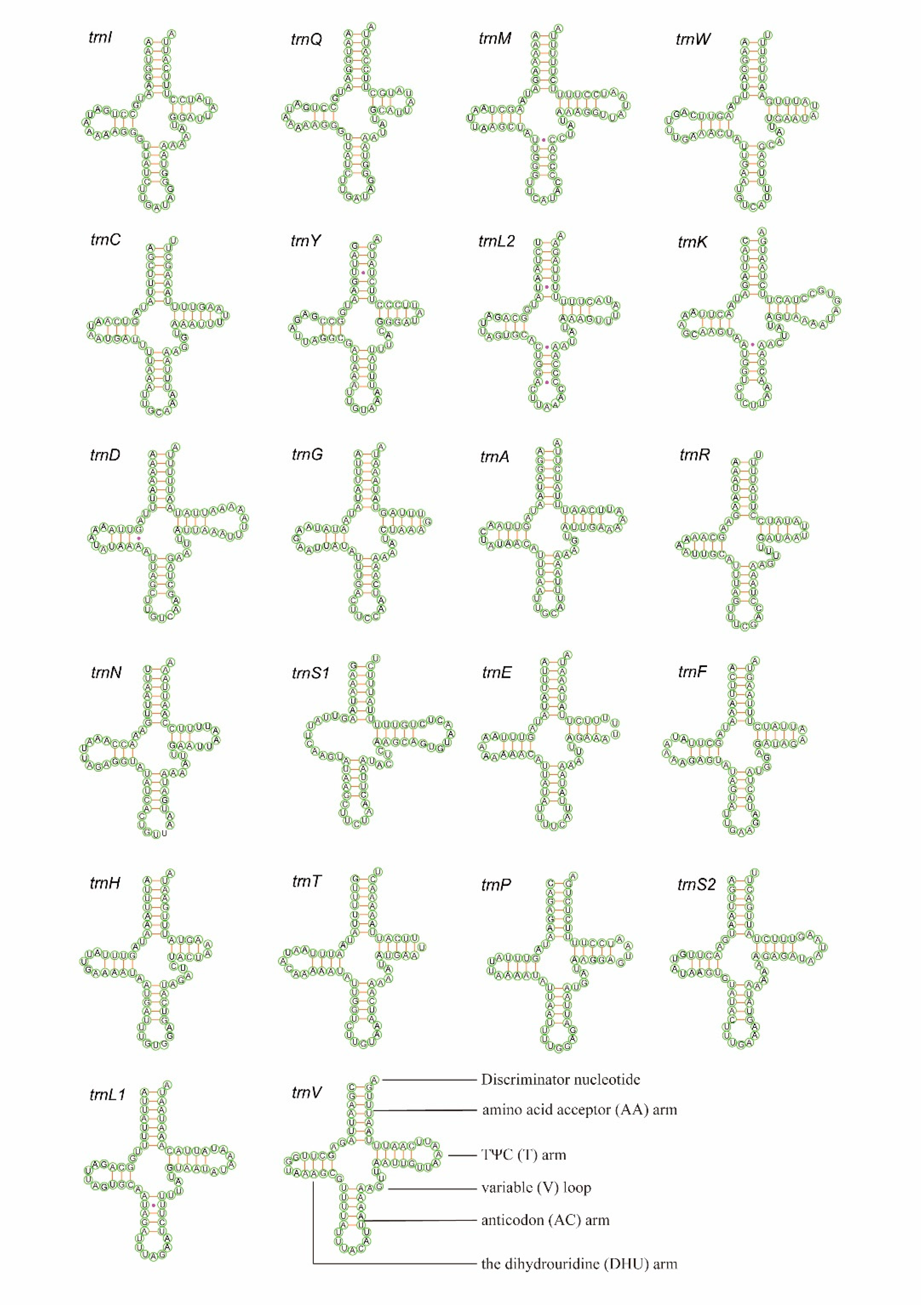 Insects 11 00779 g004 Insects 11 00779 g004