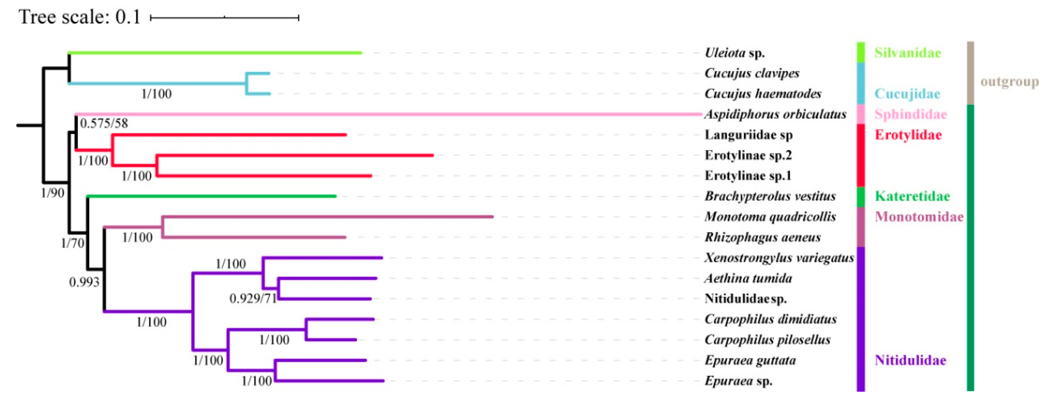 Insects 11 00779 g009 Insects 11 00779 g009