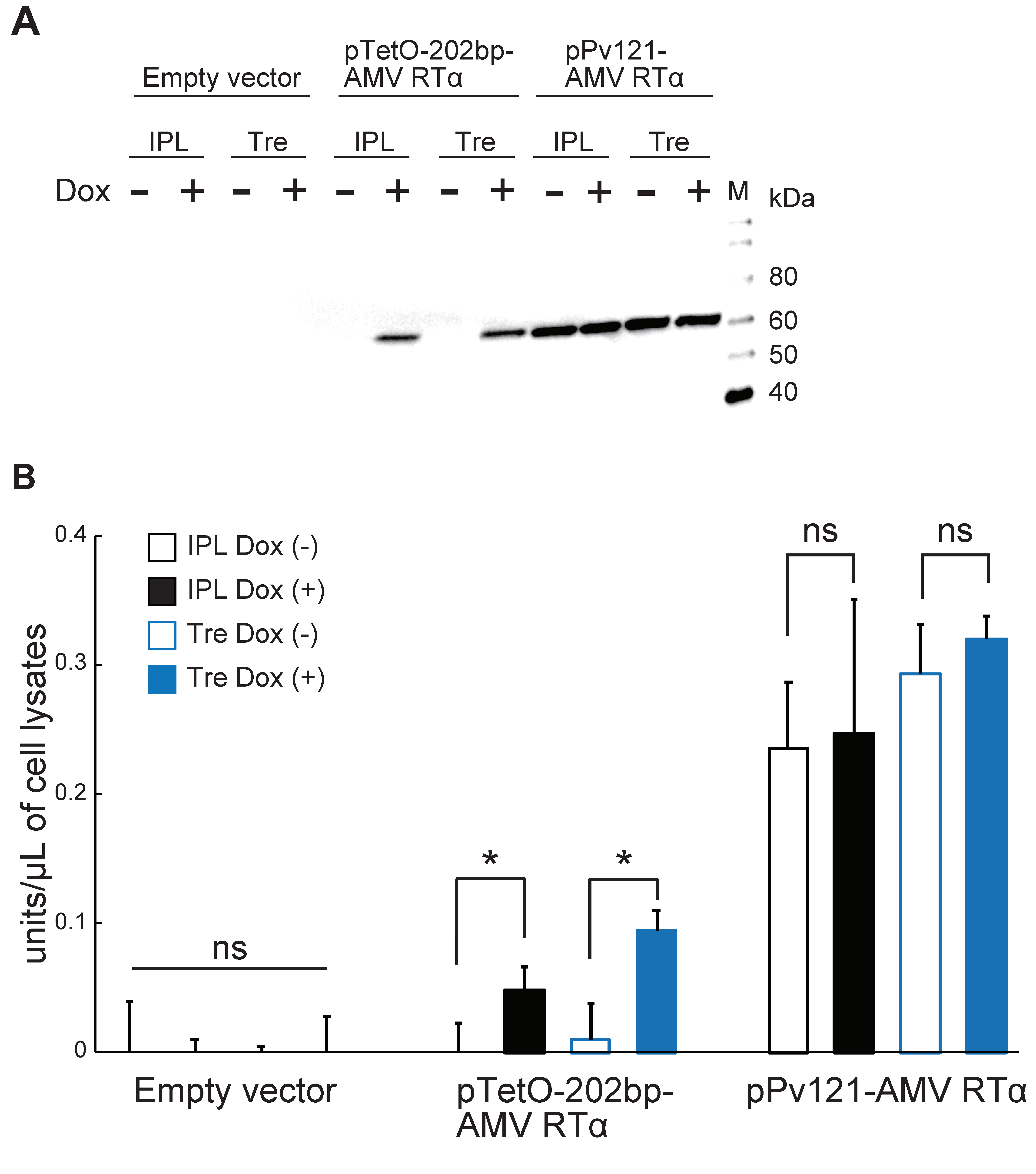 Insects 11 00781 g003 Insects 11 00781 g003