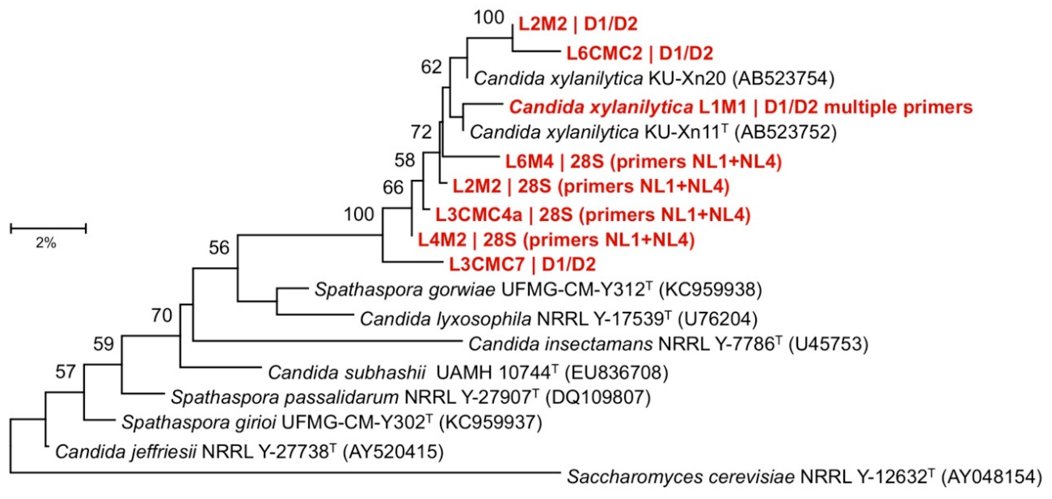 Insects 11 00782 g003