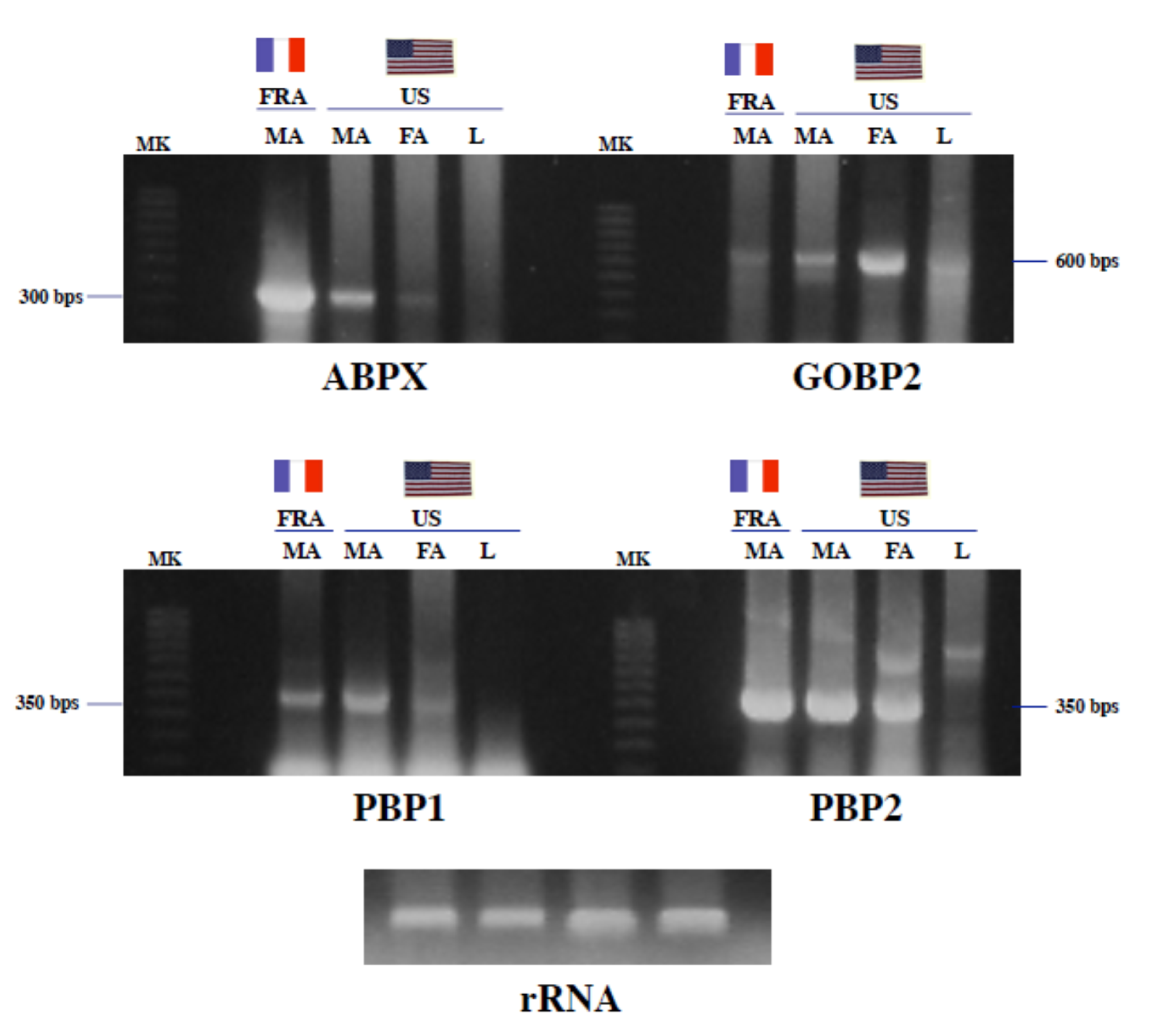 Insects 11 00798 g003 Insects 11 00798 g003