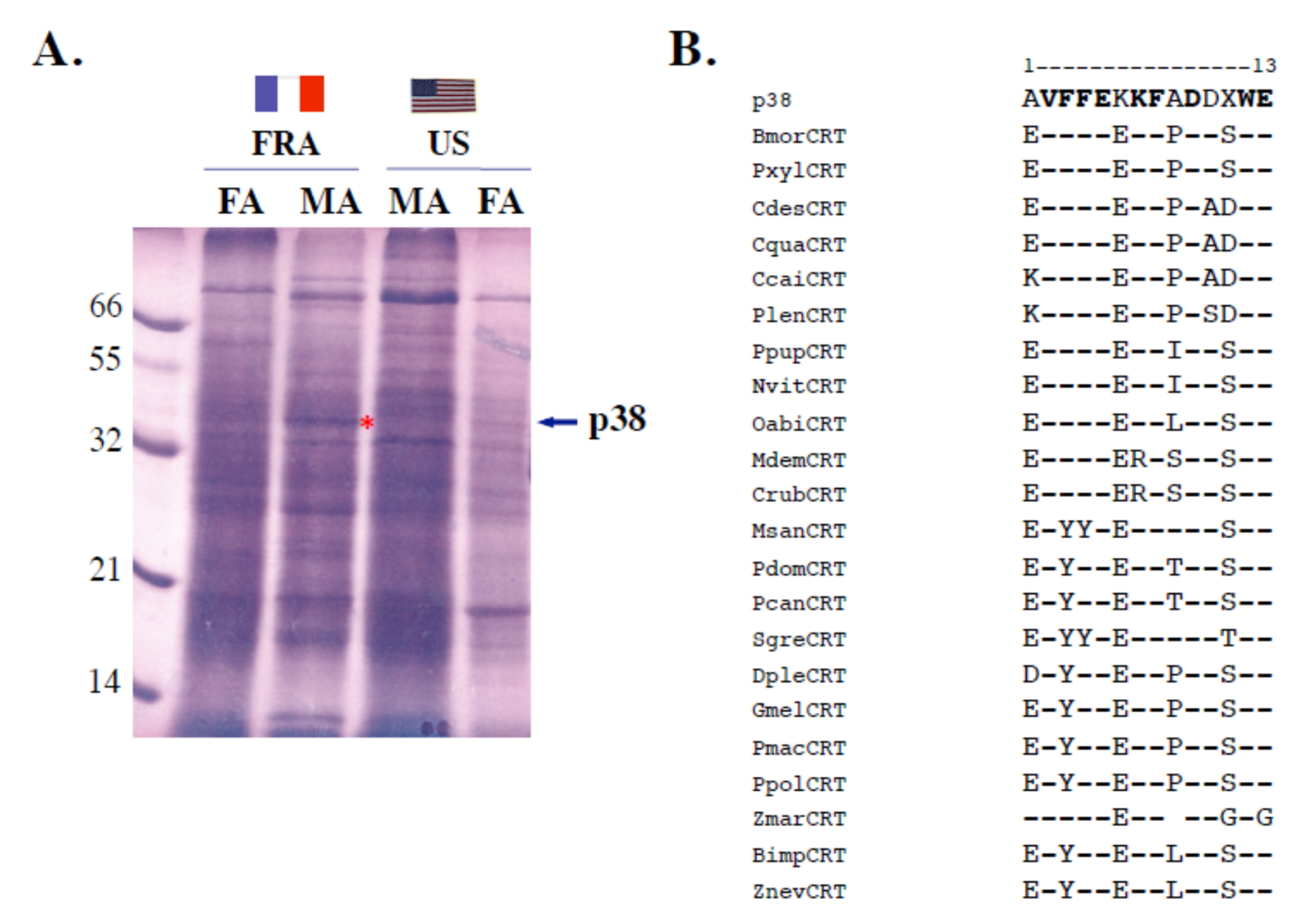 Insects 11 00798 g004 Insects 11 00798 g004