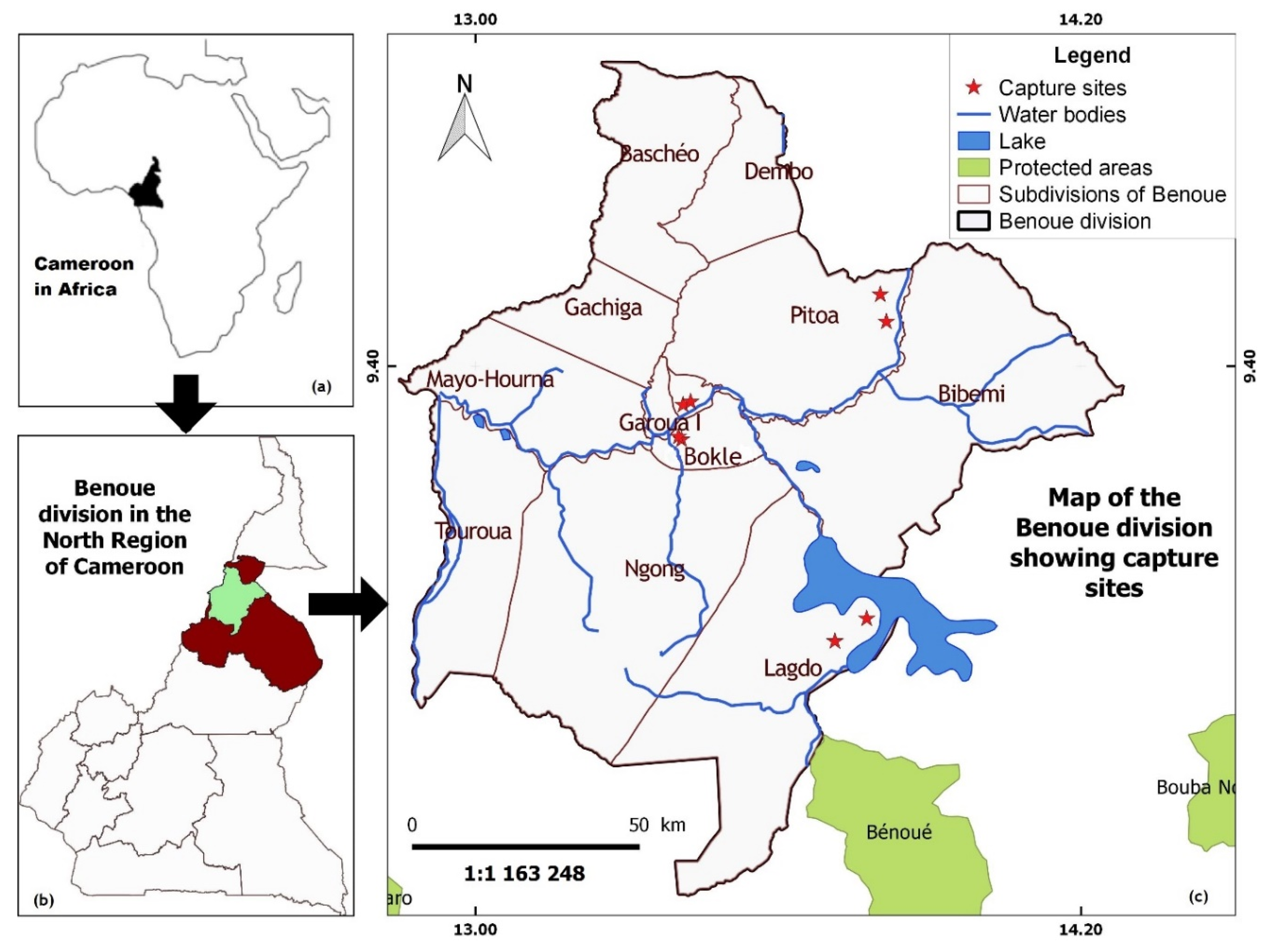 Insects 11 00814 g001 Insects 11 00814 g001
