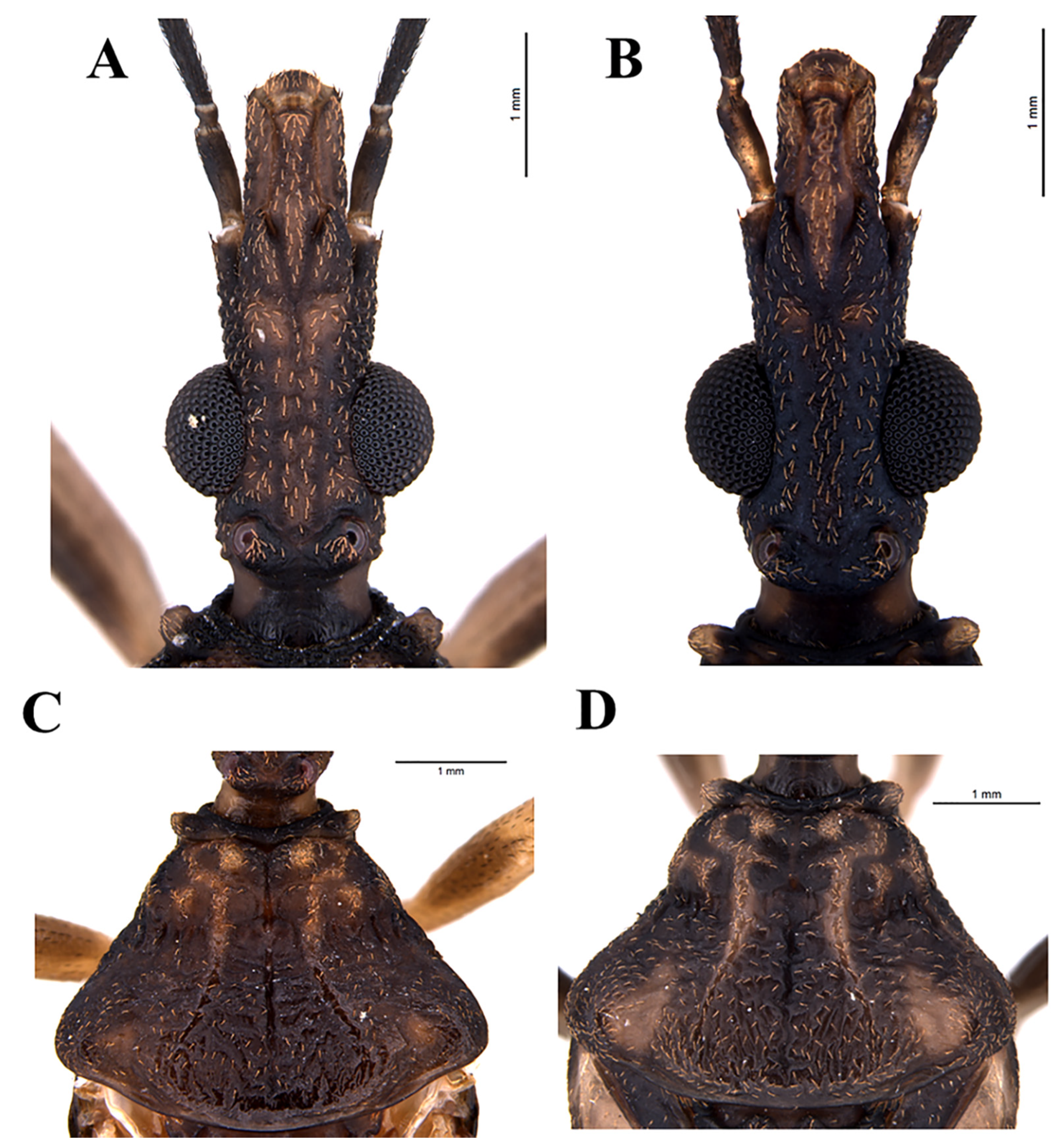 Insects 11 00830 g003 Insects 11 00830 g003