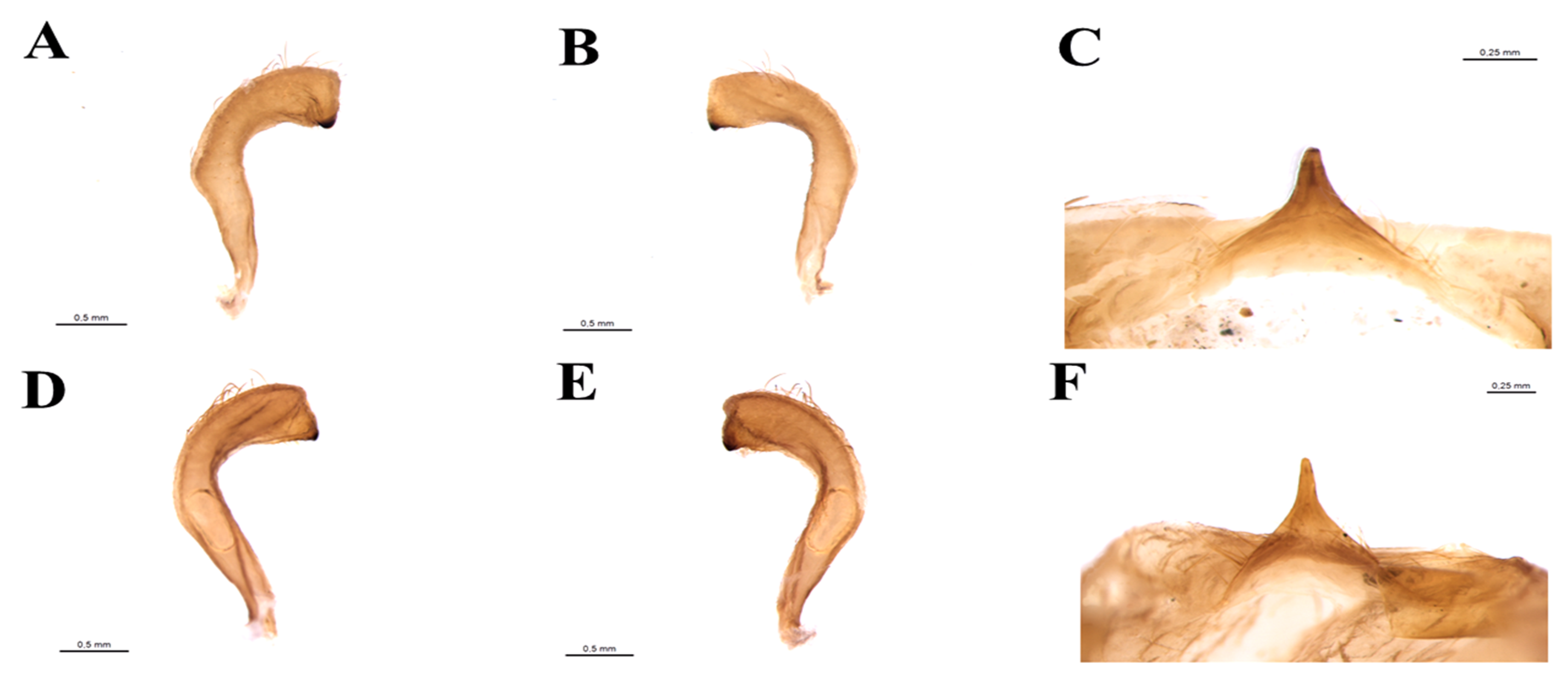 Insects 11 00830 g007 Insects 11 00830 g007