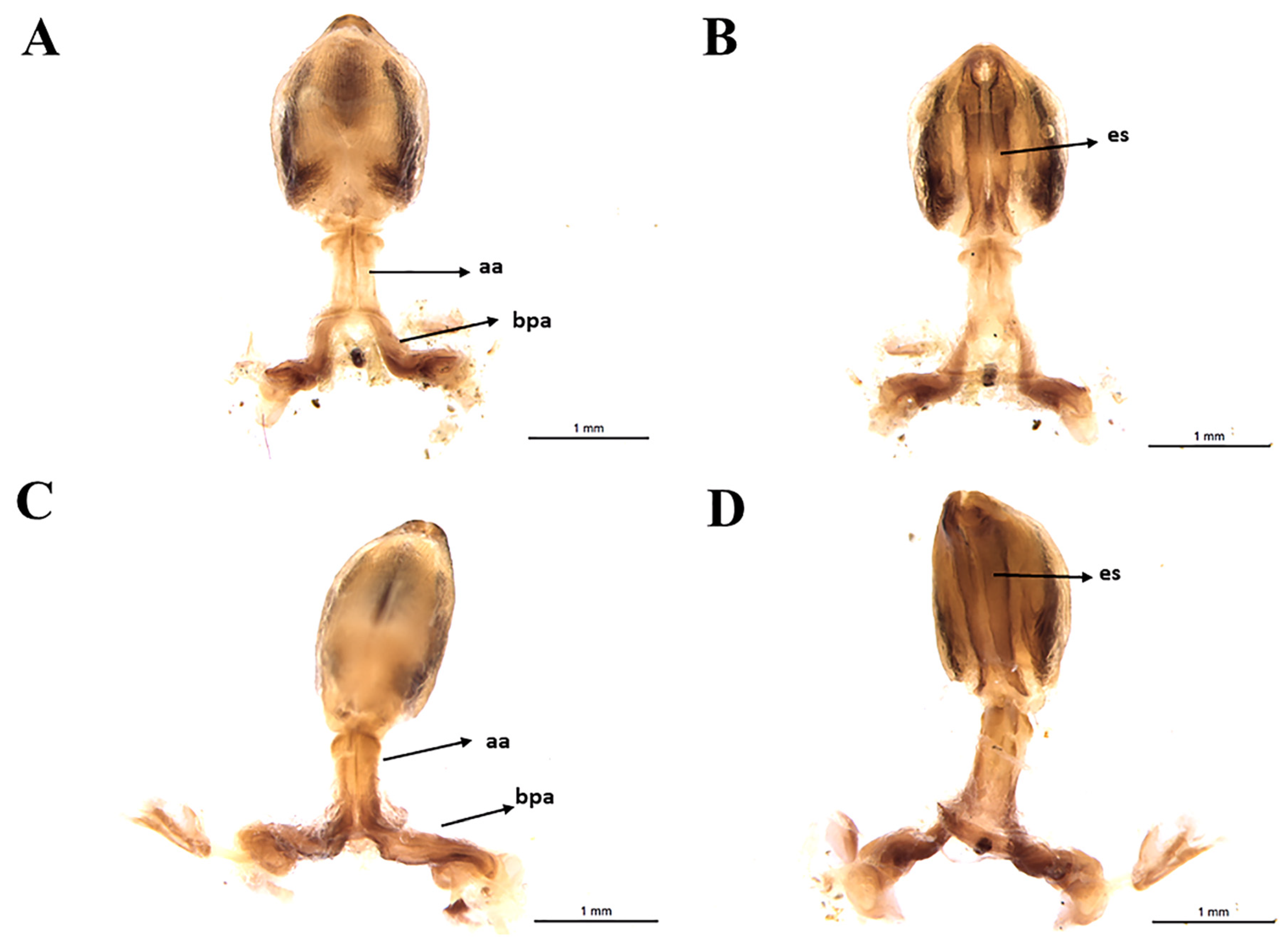 Insects 11 00830 g008 Insects 11 00830 g008
