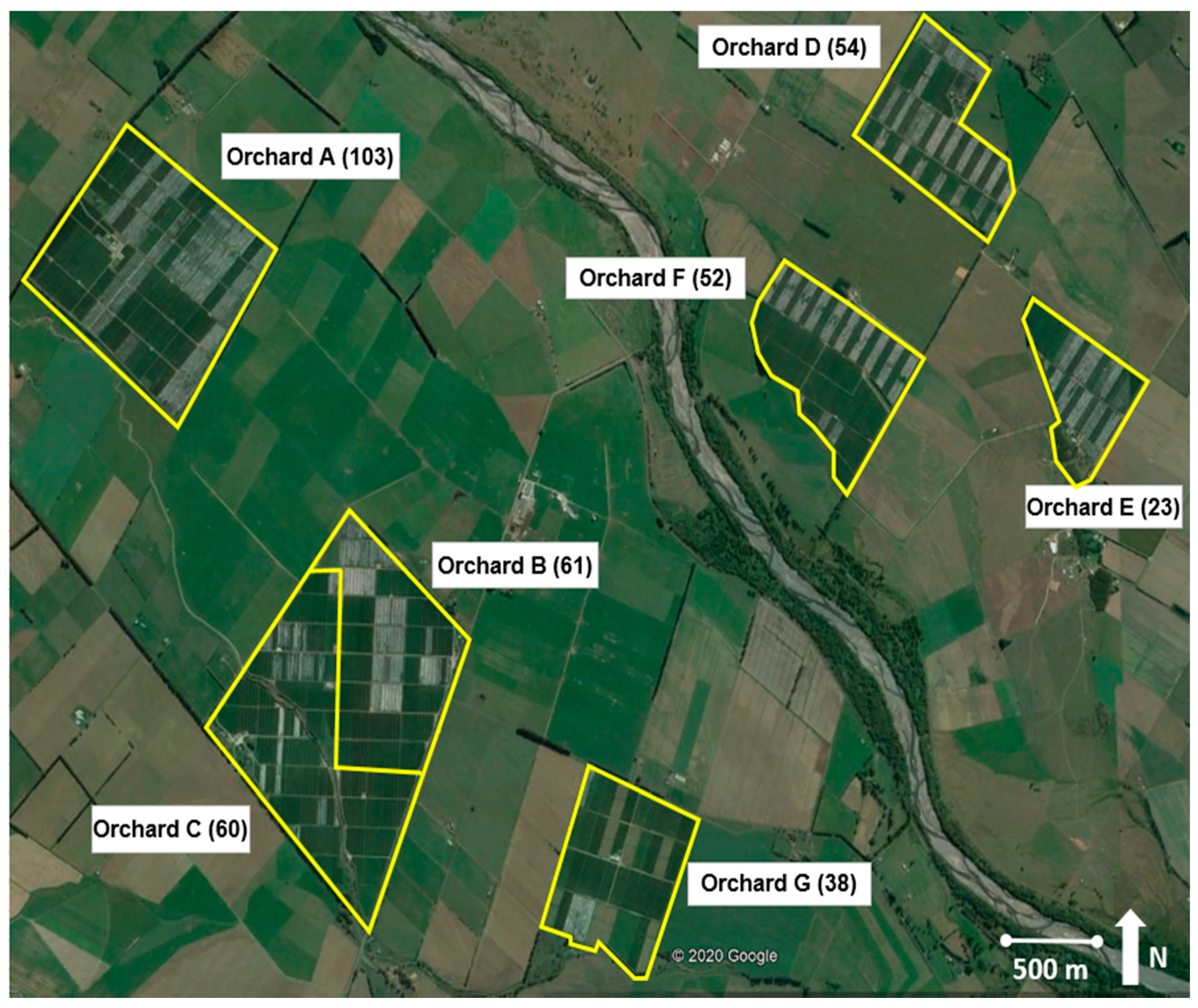 Insects 11 00837 g002 Insects 11 00837 g002