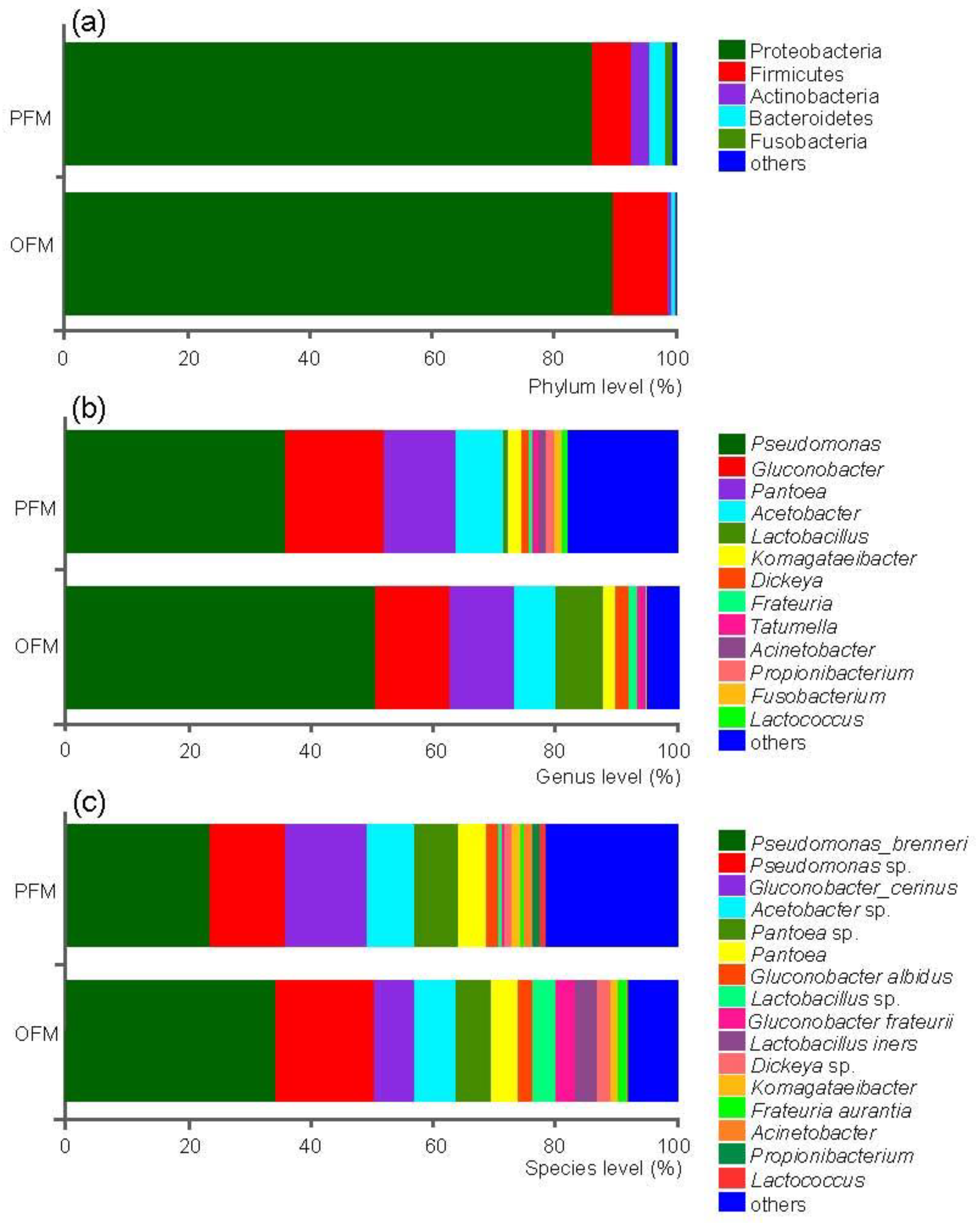 Insects 11 00840 g001