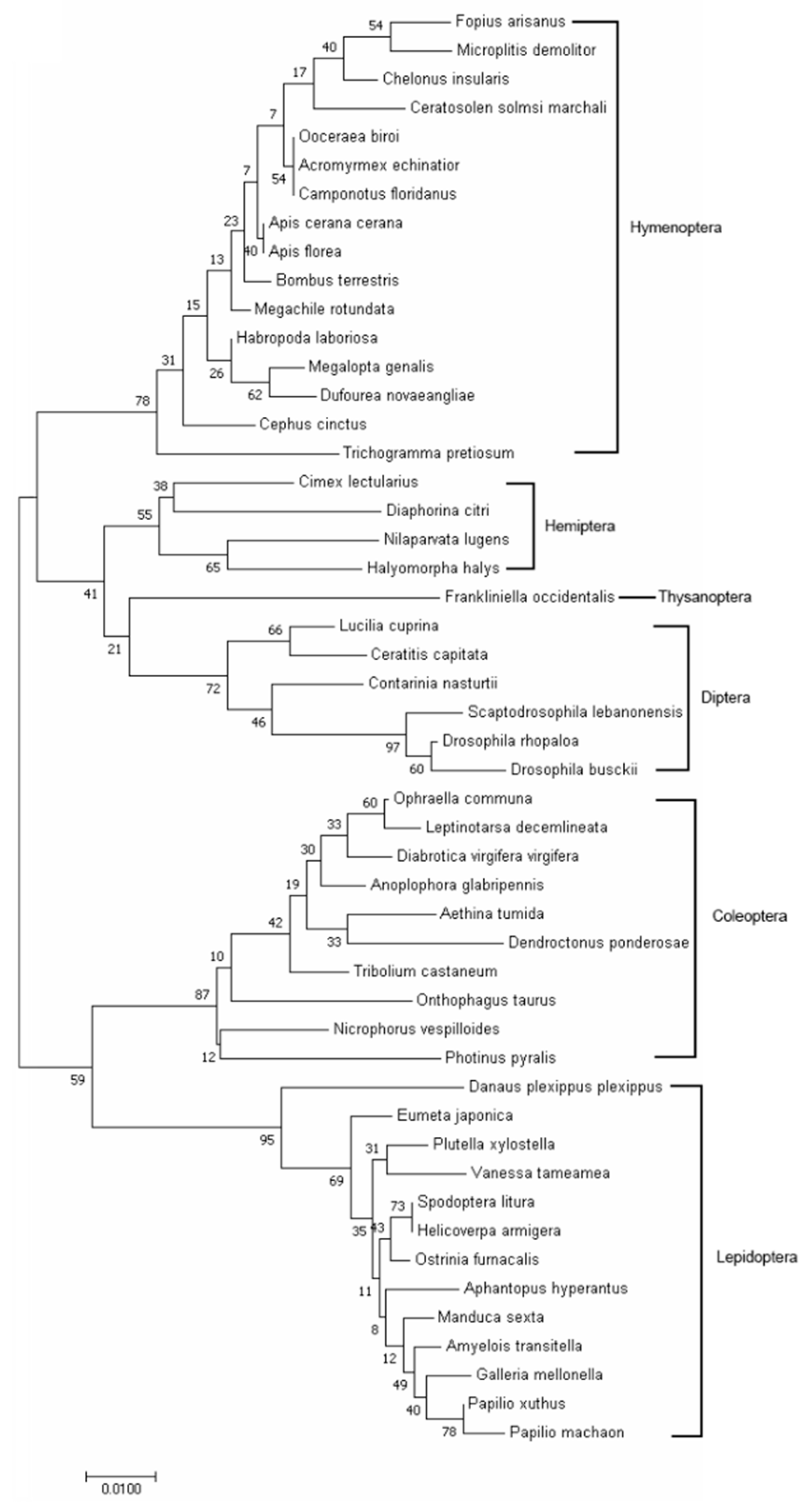 Insects 11 00844 g002 Insects 11 00844 g002