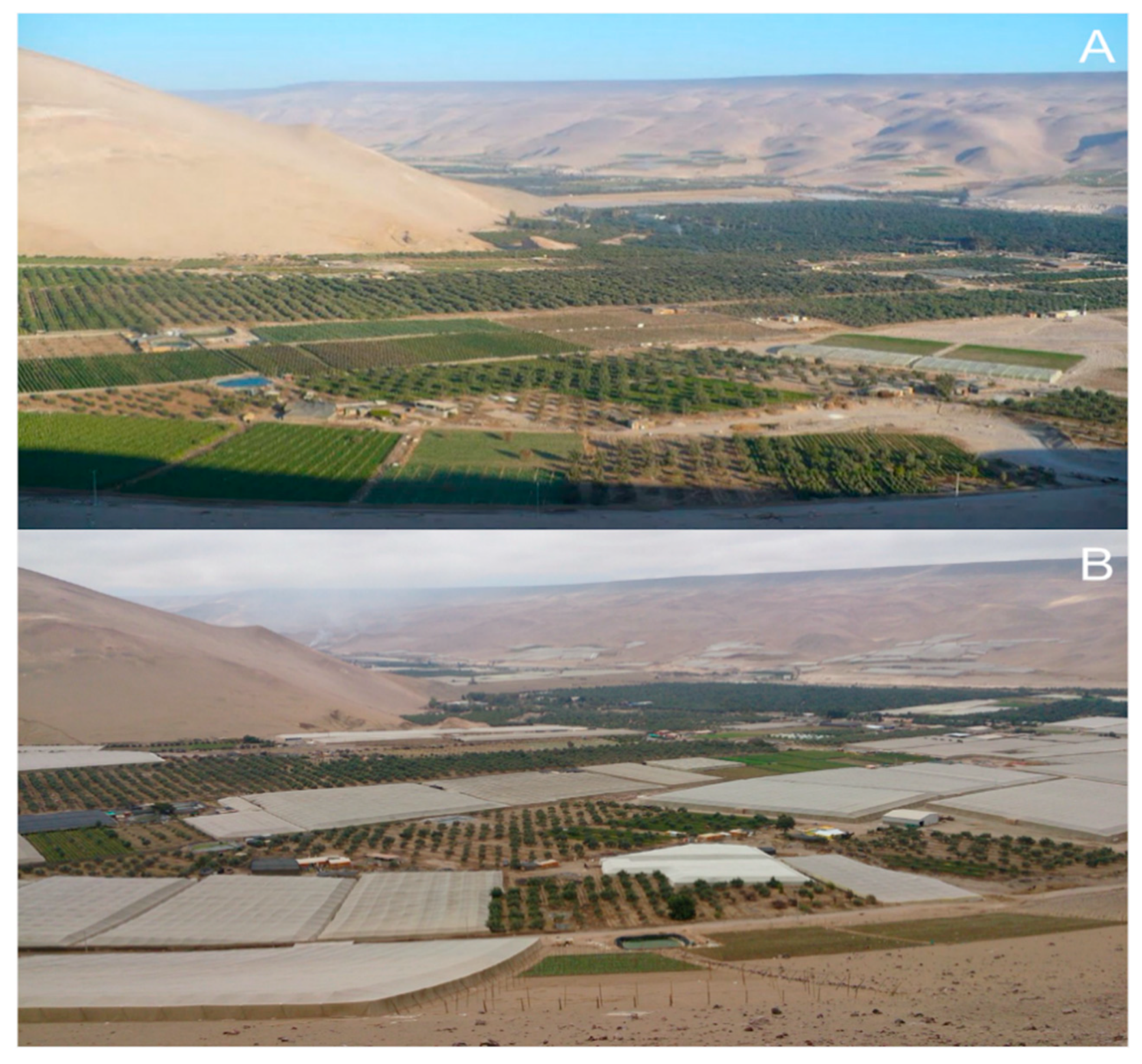 Insects 11 00847 g003 Insects 11 00847 g003