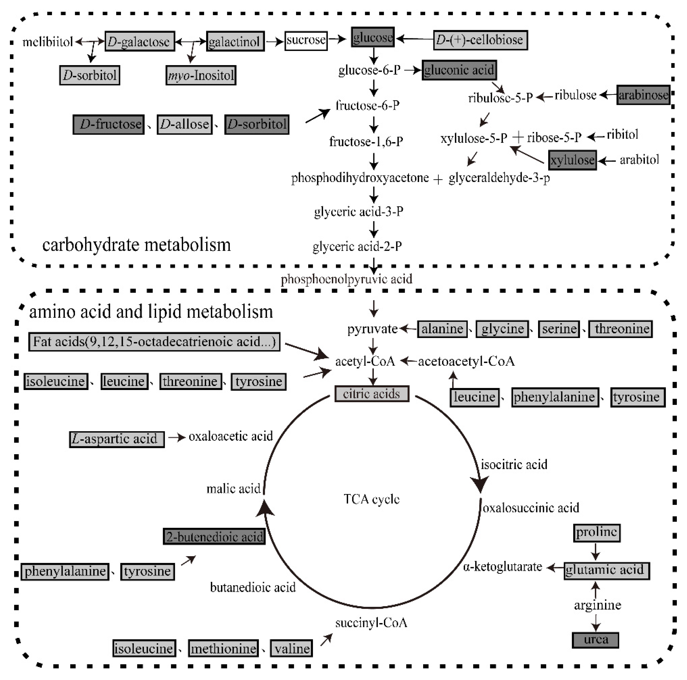 Insects 11 00851 g005