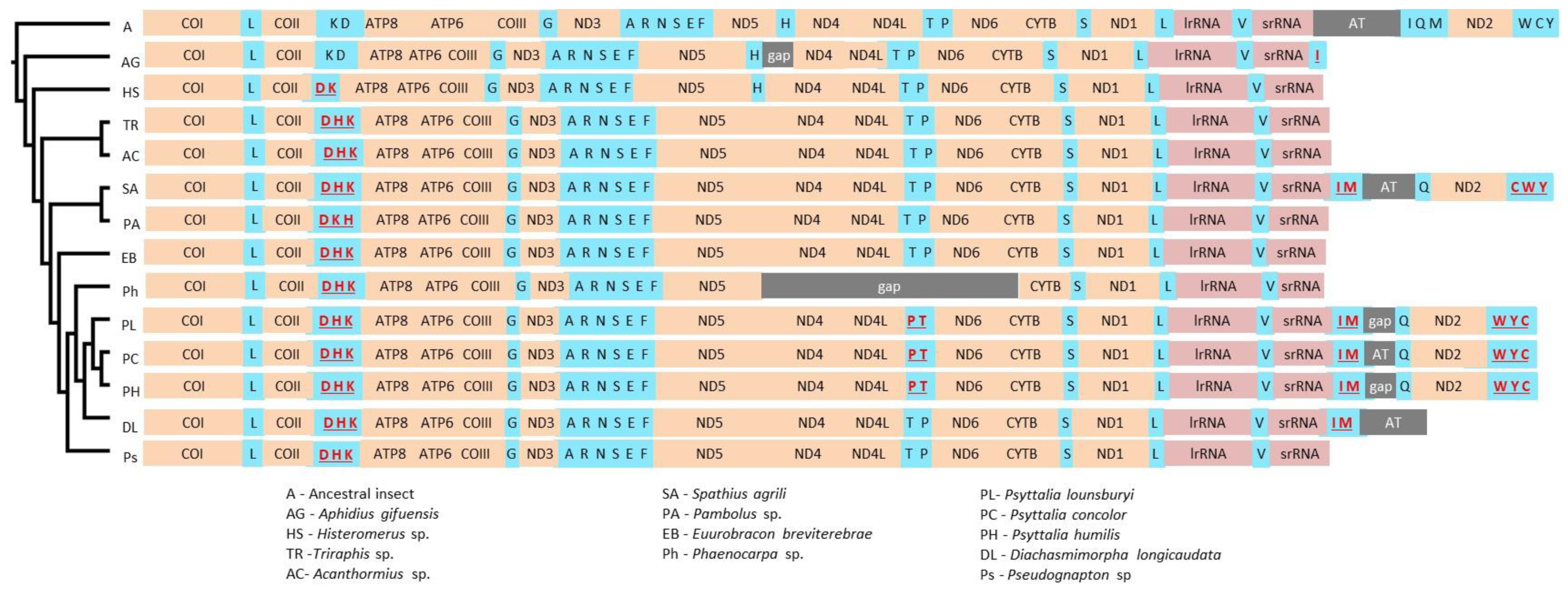 Insects 11 00854 g003