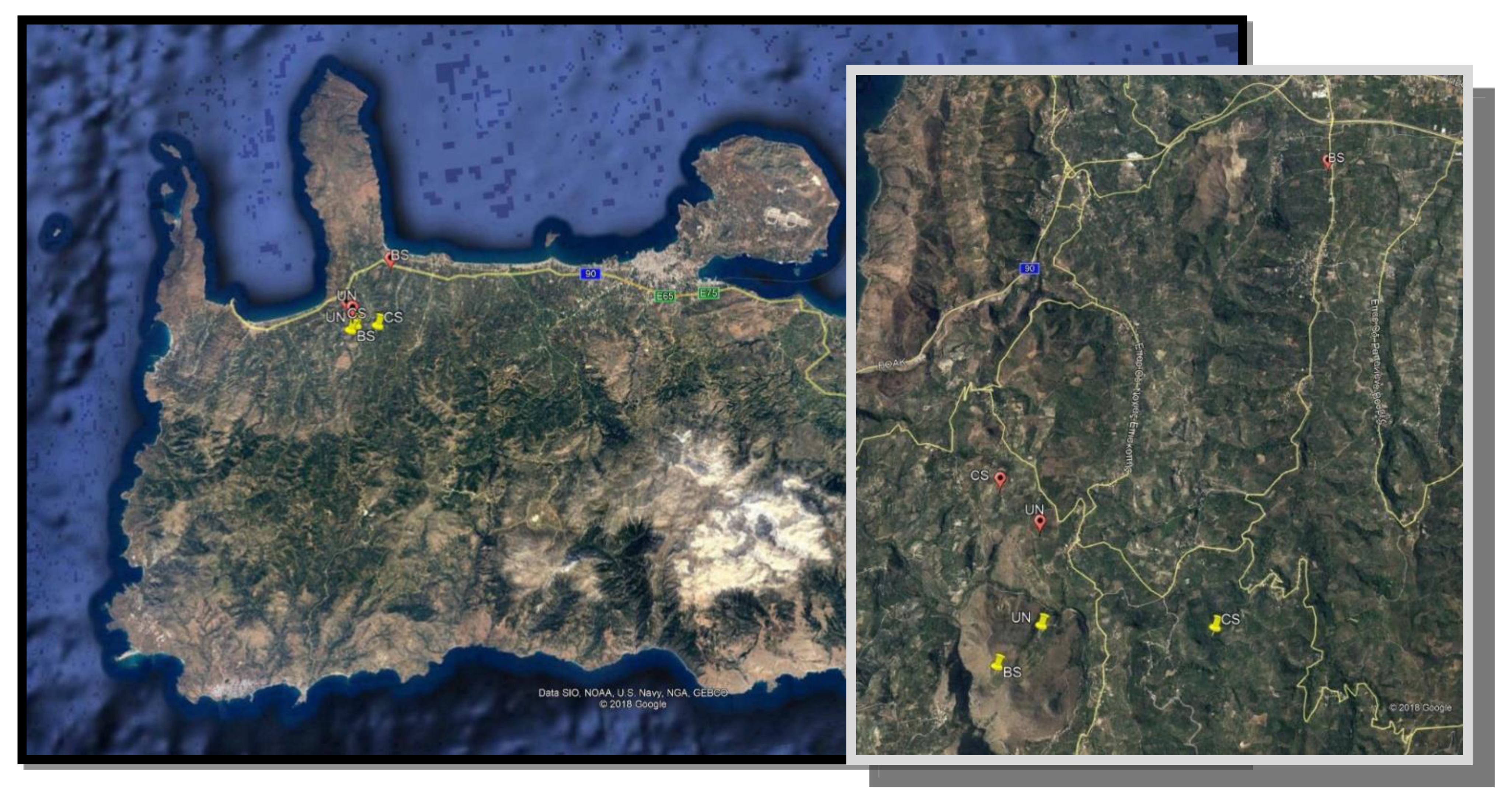 Insects 11 00855 g001 Insects 11 00855 g001