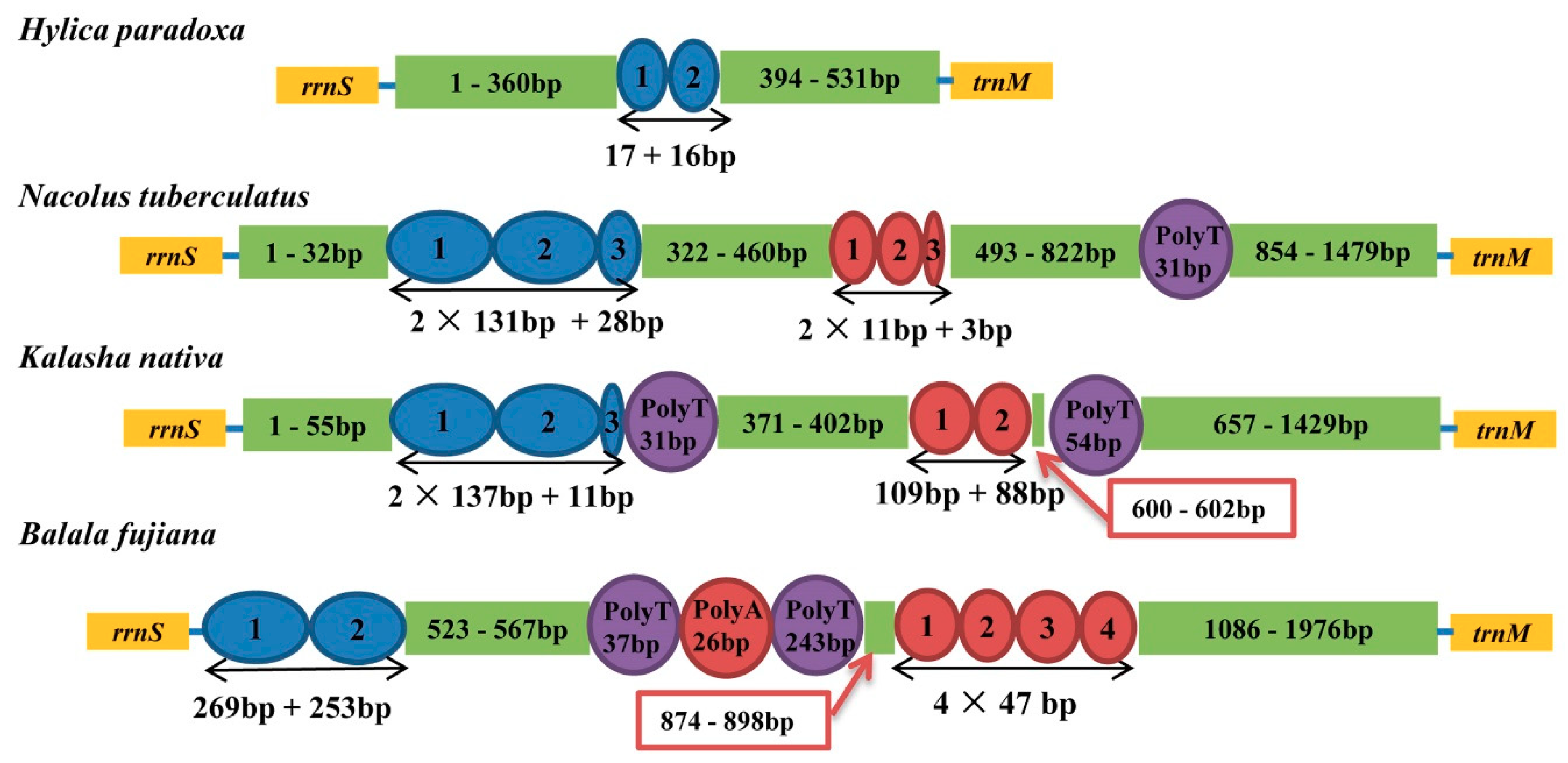 Insects 11 00869 g004 Insects 11 00869 g004