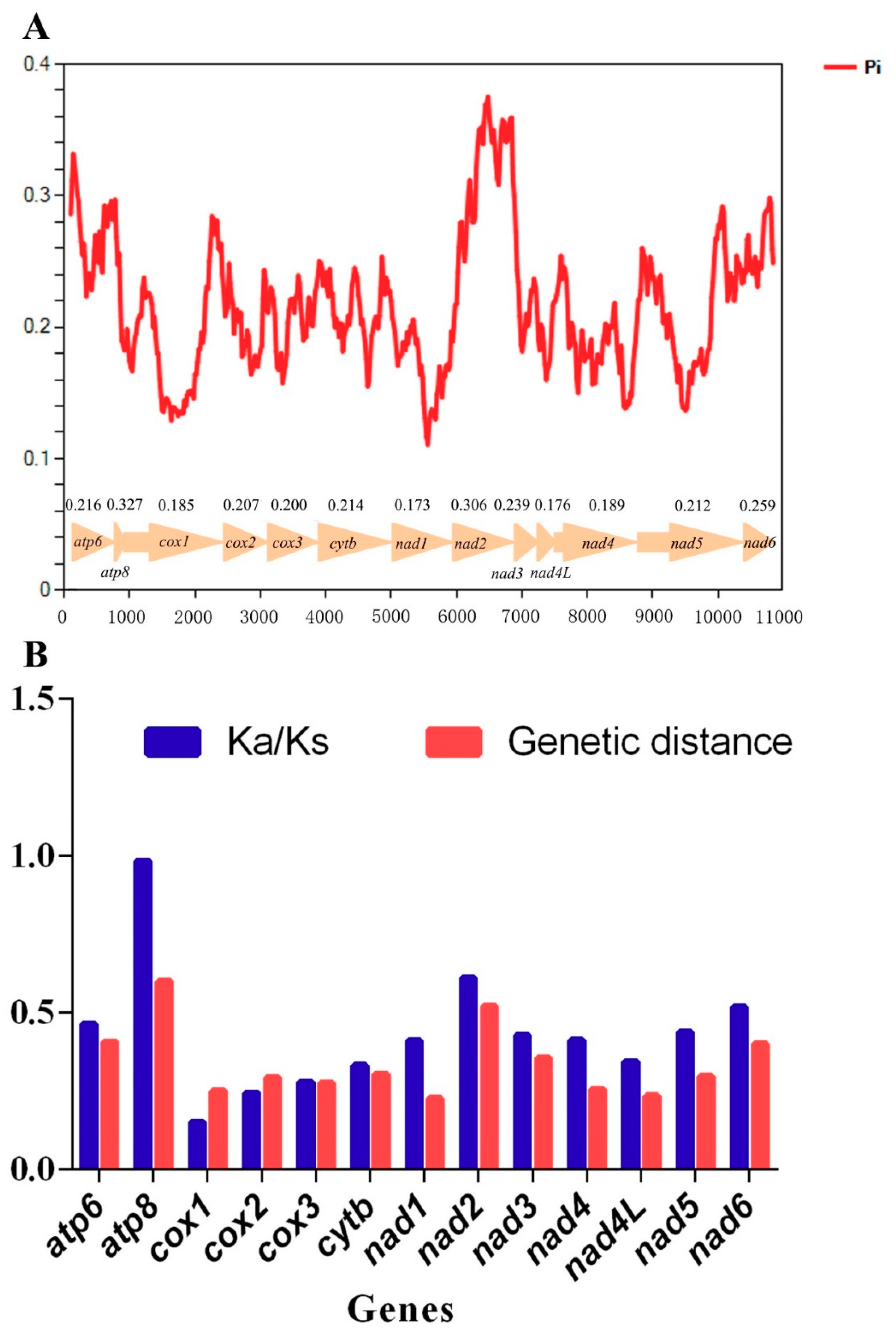 Insects 11 00869 g005 Insects 11 00869 g005