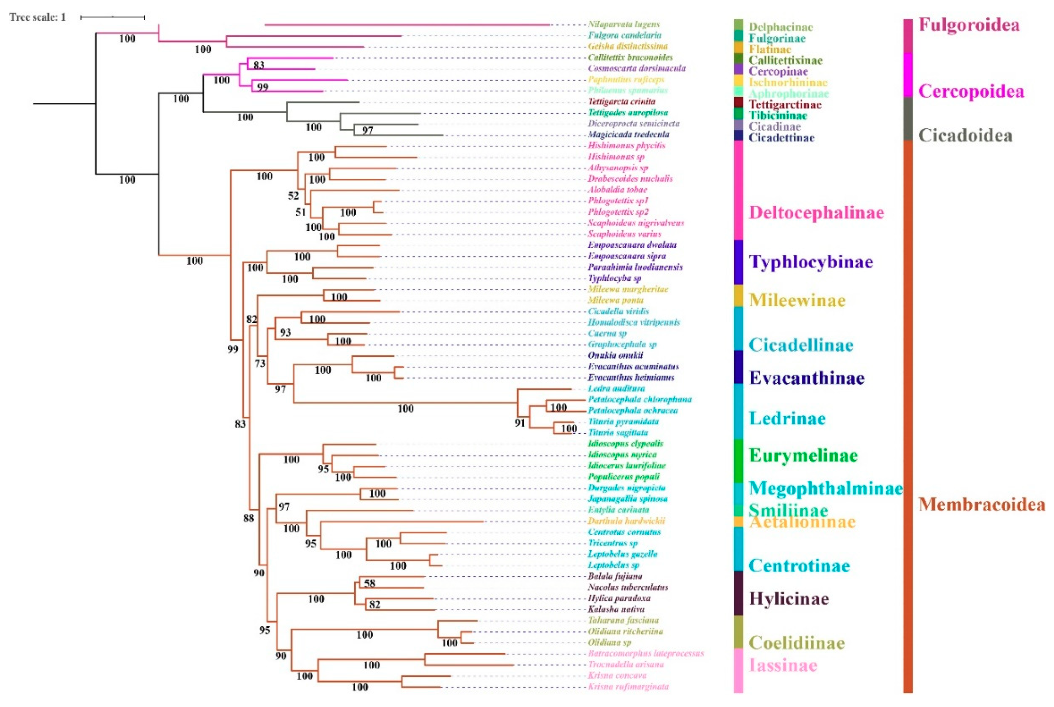 Insects 11 00869 g007 Insects 11 00869 g007