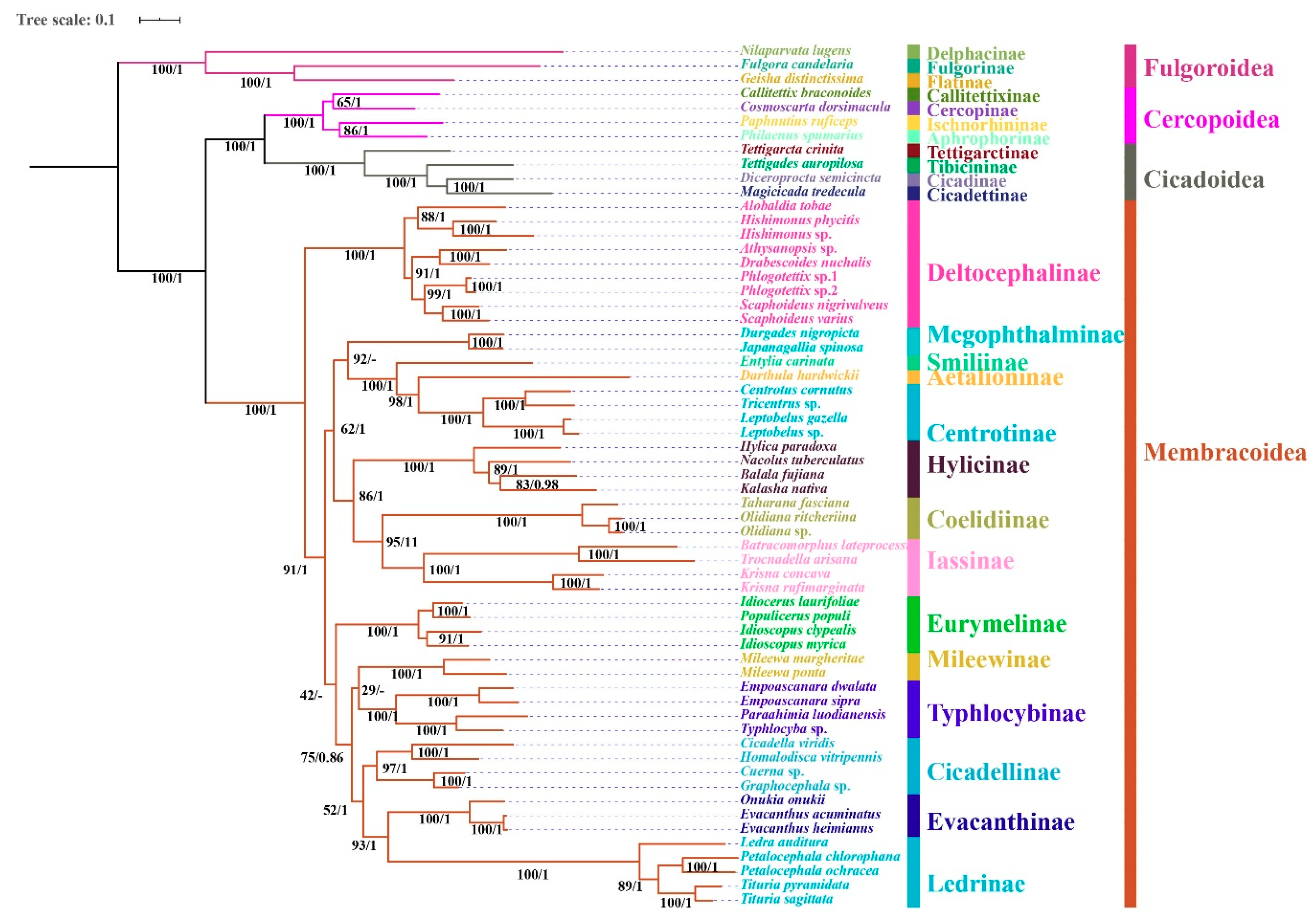 Insects 11 00869 g008 Insects 11 00869 g008