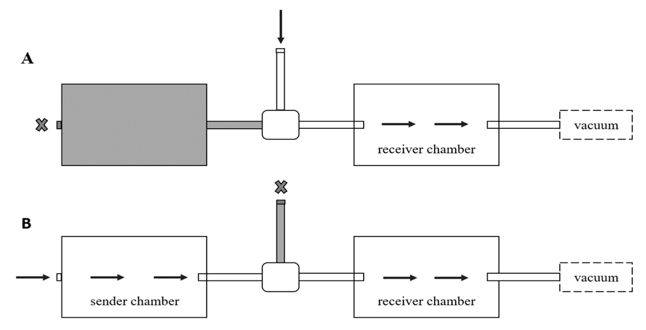 Insects 11 00871 g001