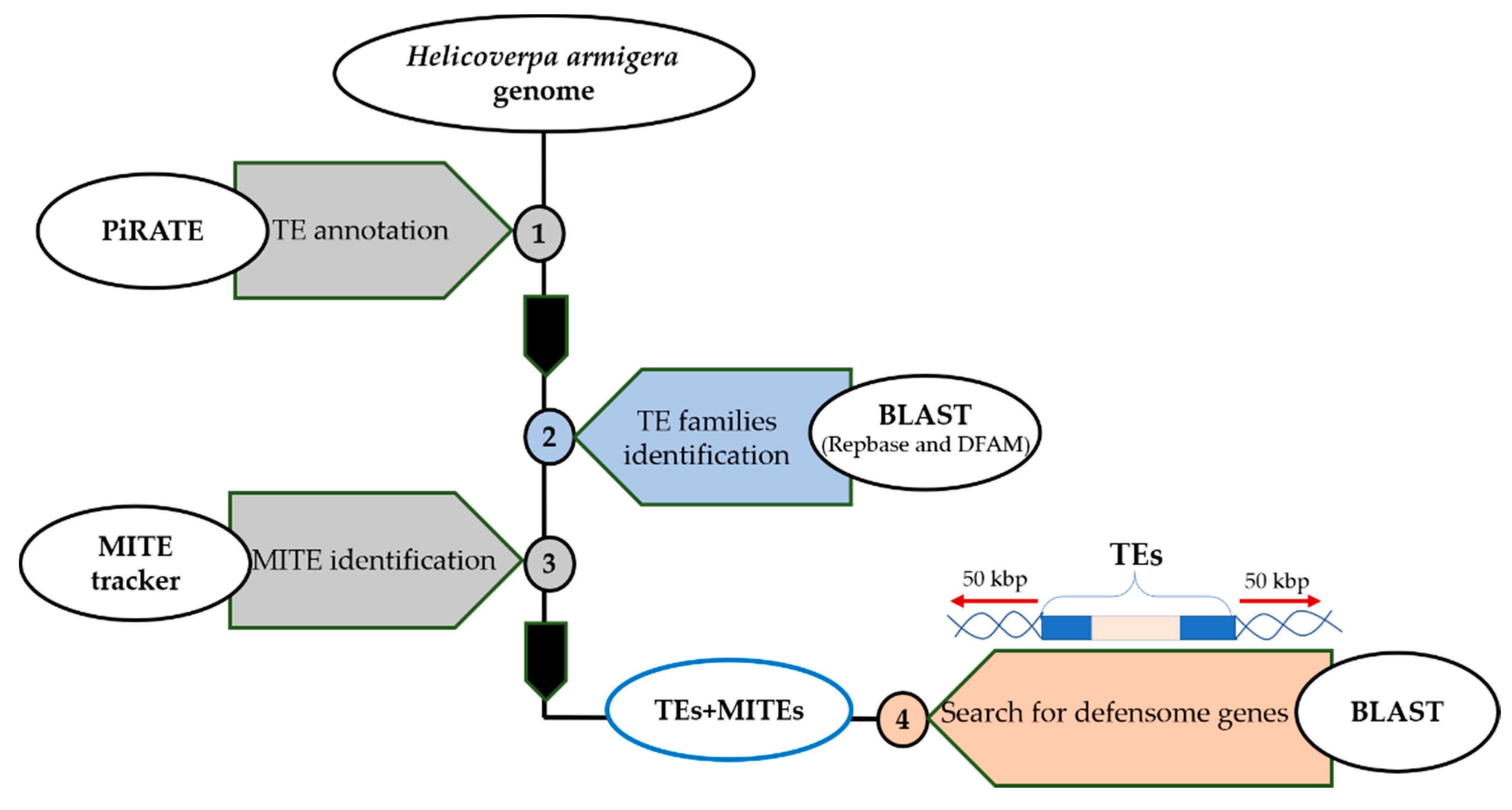 Insects 11 00879 g001 Insects 11 00879 g001