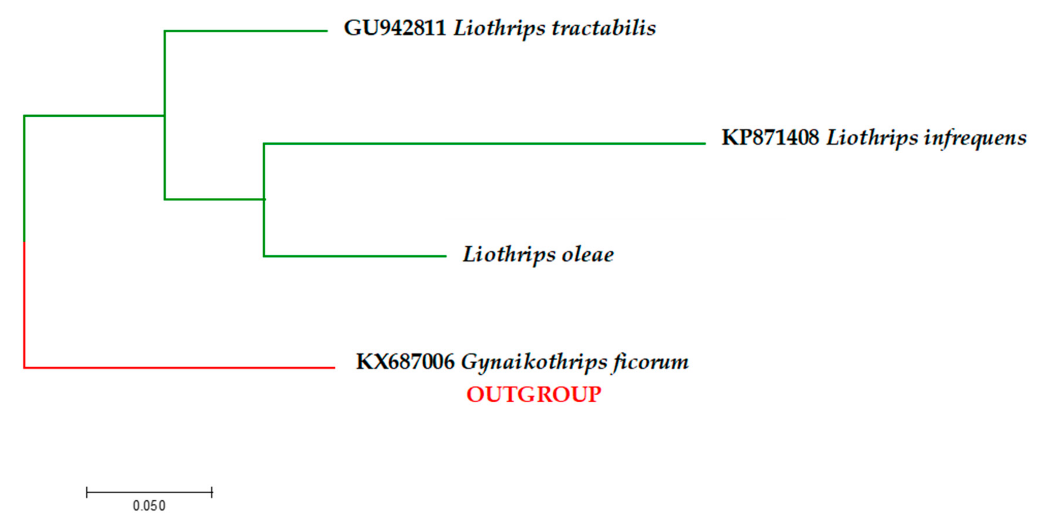 Insects 11 00887 g003