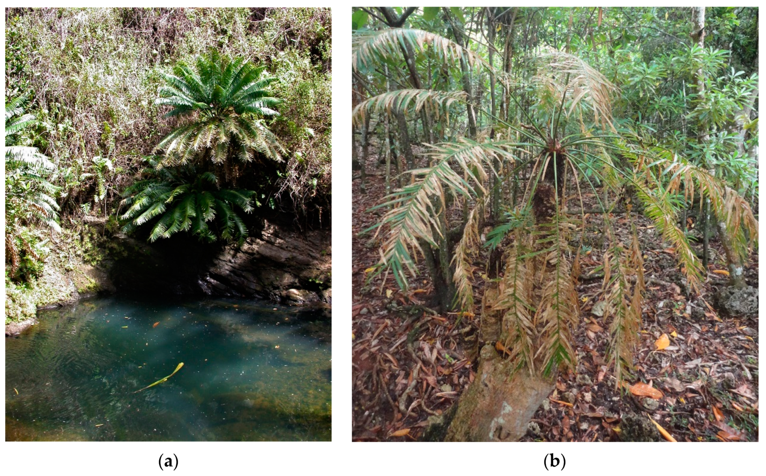 Insects 11 00888 g002