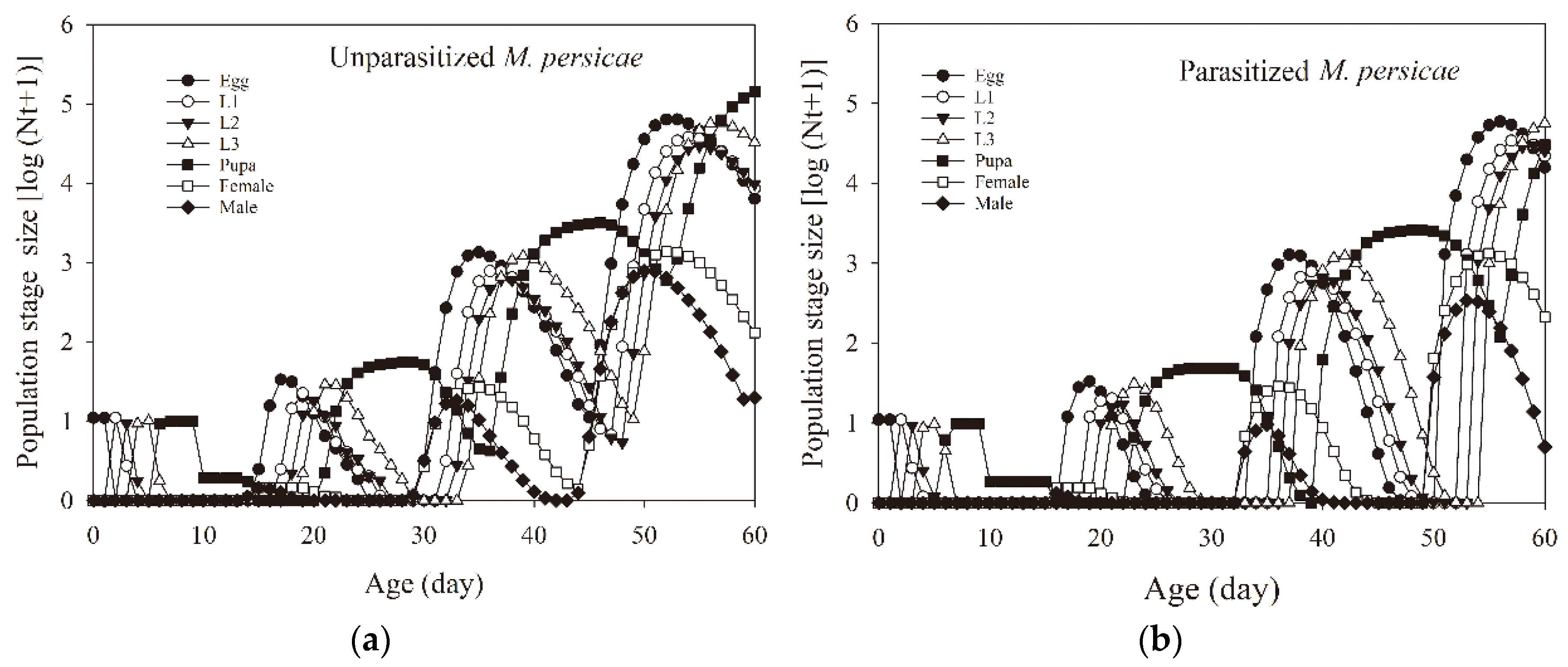 Insects 11 00889 g004 Insects 11 00889 g004