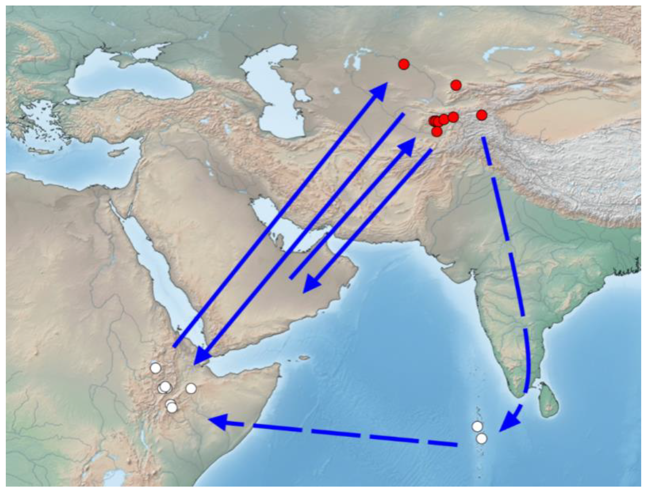 Insects 11 00890 g004