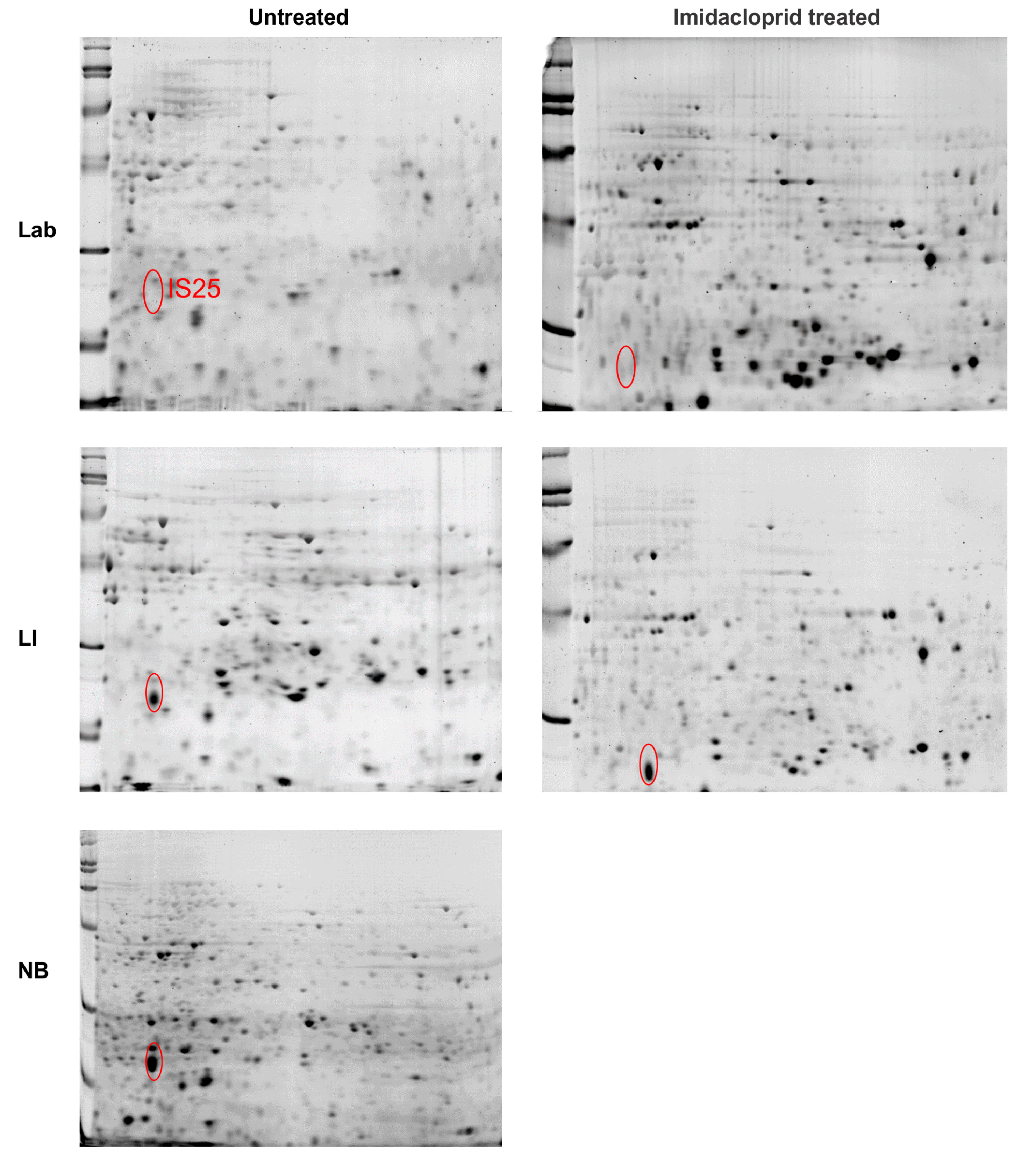 Insects 12 00003 g004 Insects 12 00003 g004
