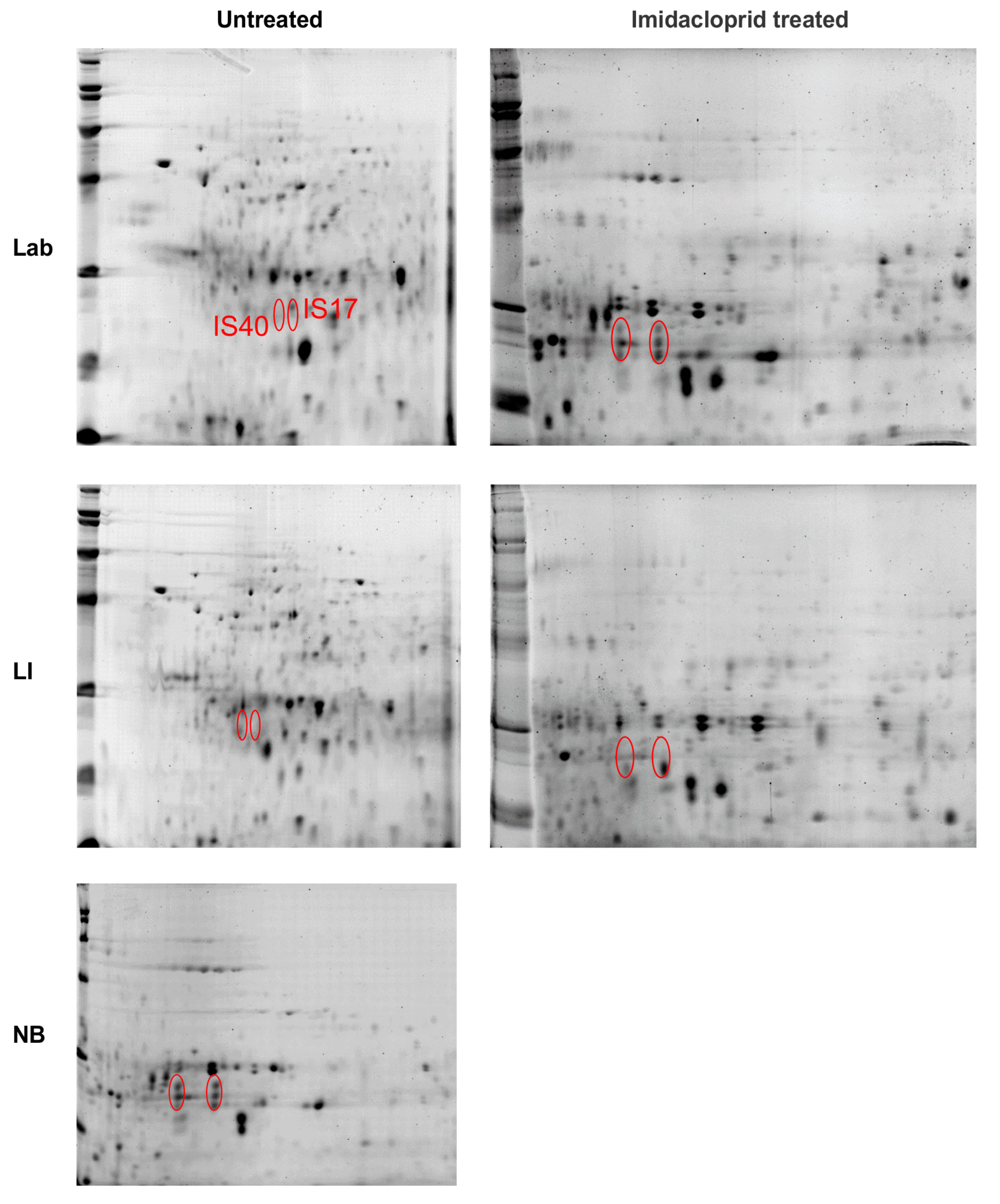 Insects 12 00003 g005 Insects 12 00003 g005