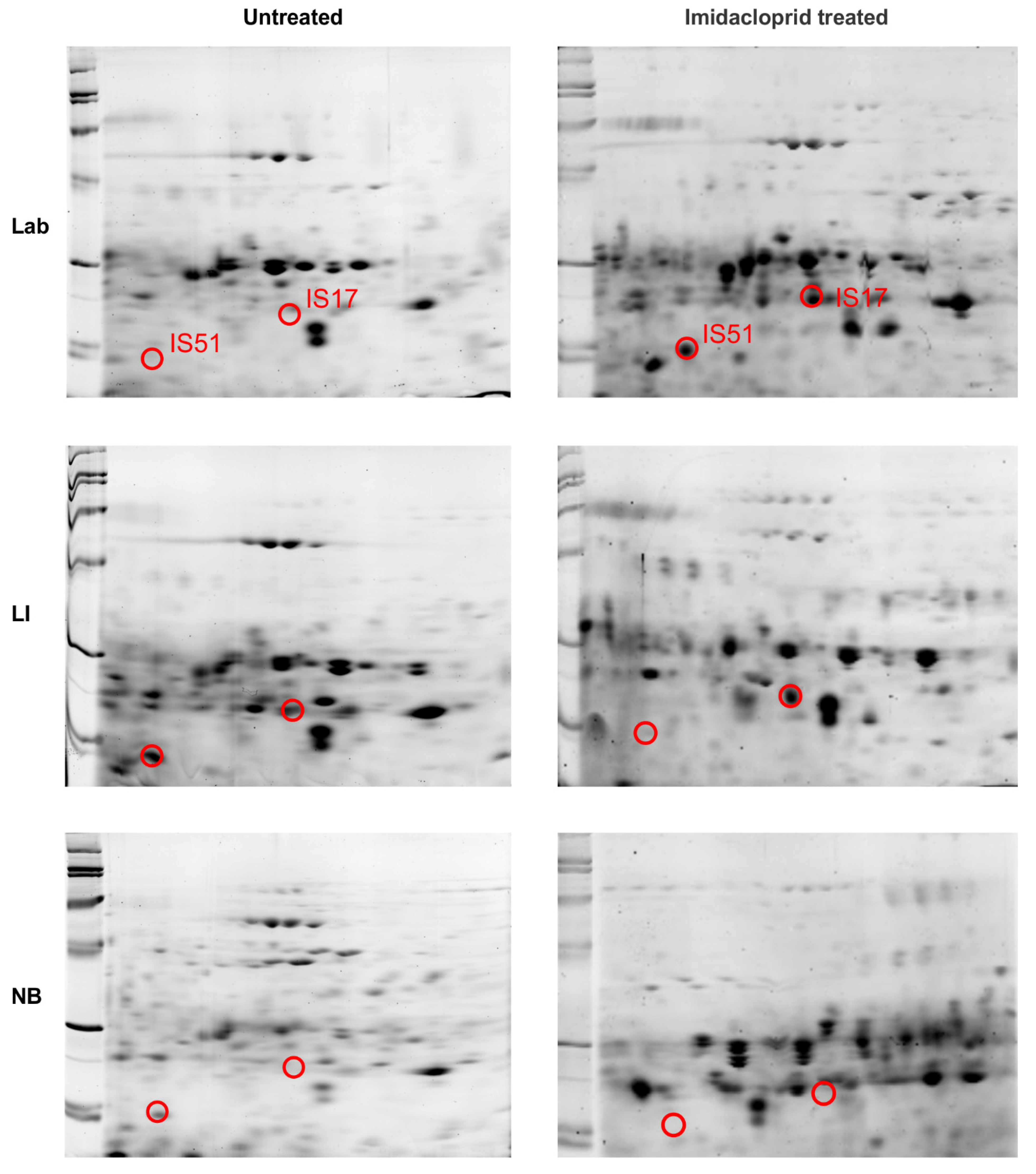 Insects 12 00003 g006 Insects 12 00003 g006