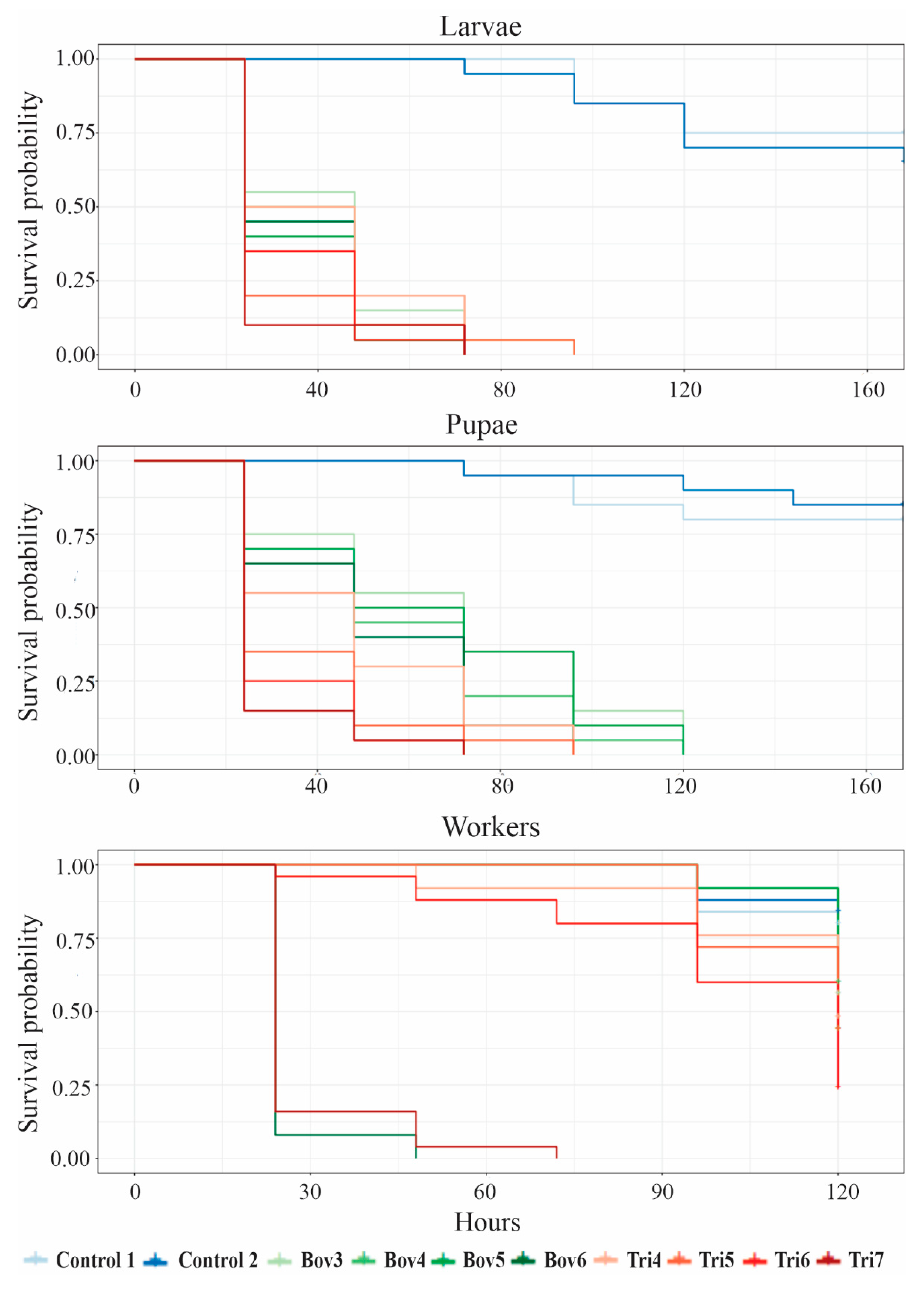 Insects 12 00010 g002
