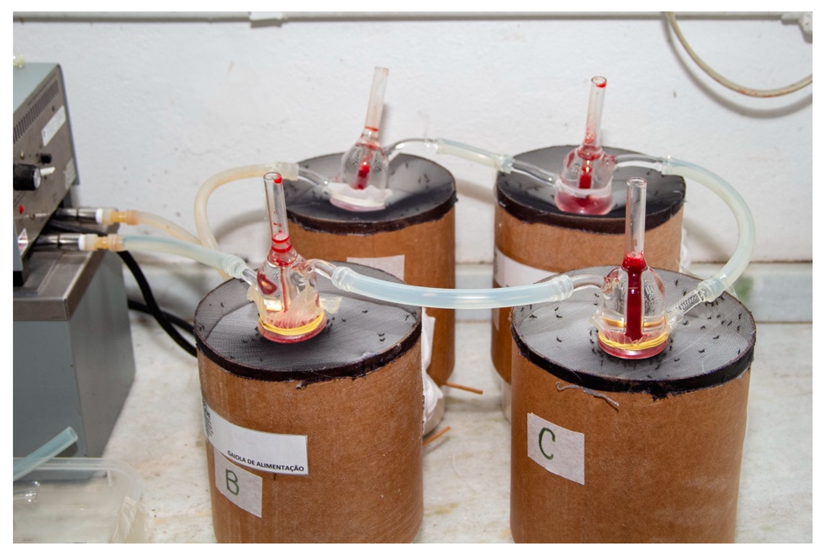 Insects 12 00015 g001