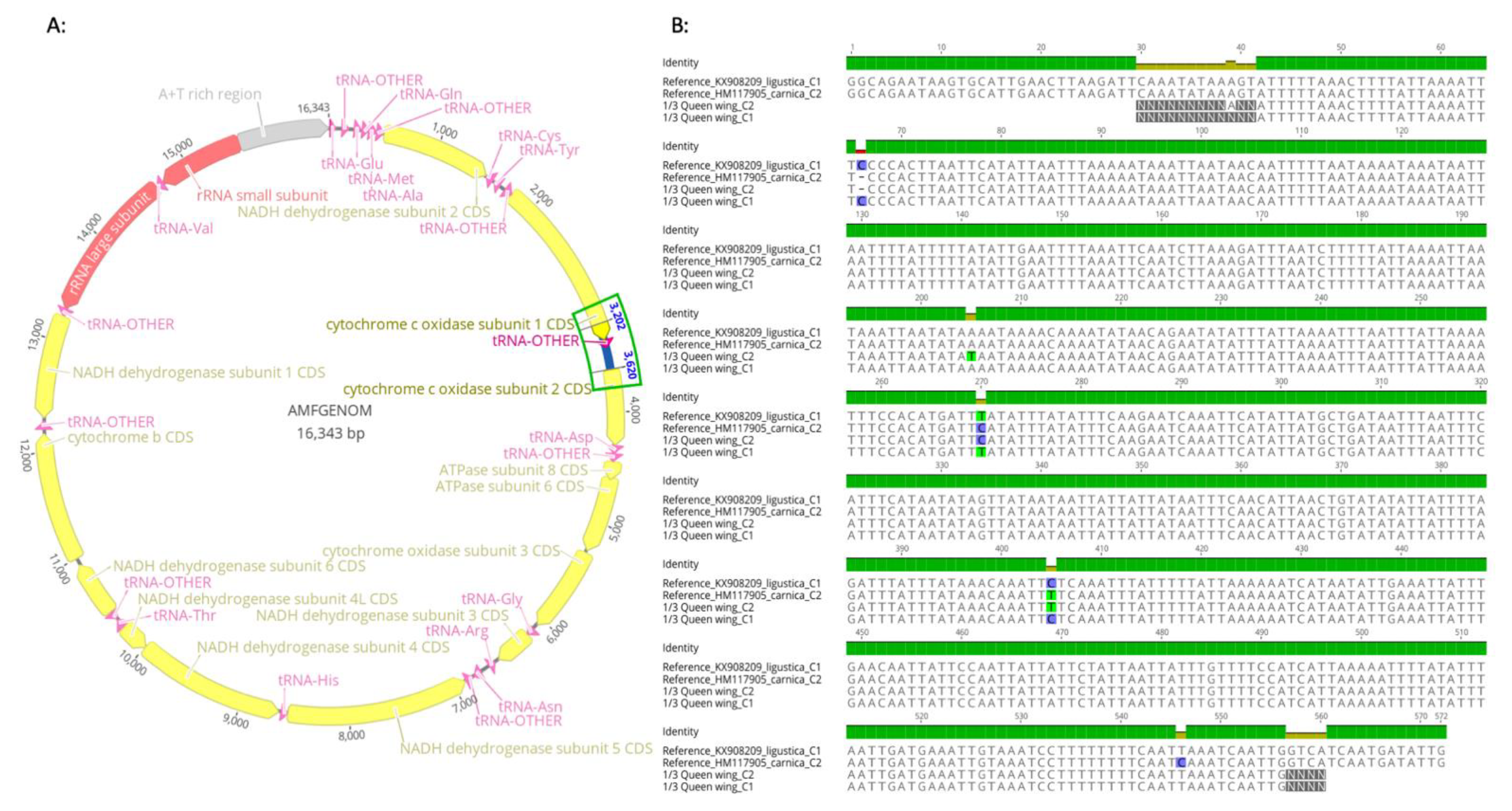 Insects 12 00019 g003