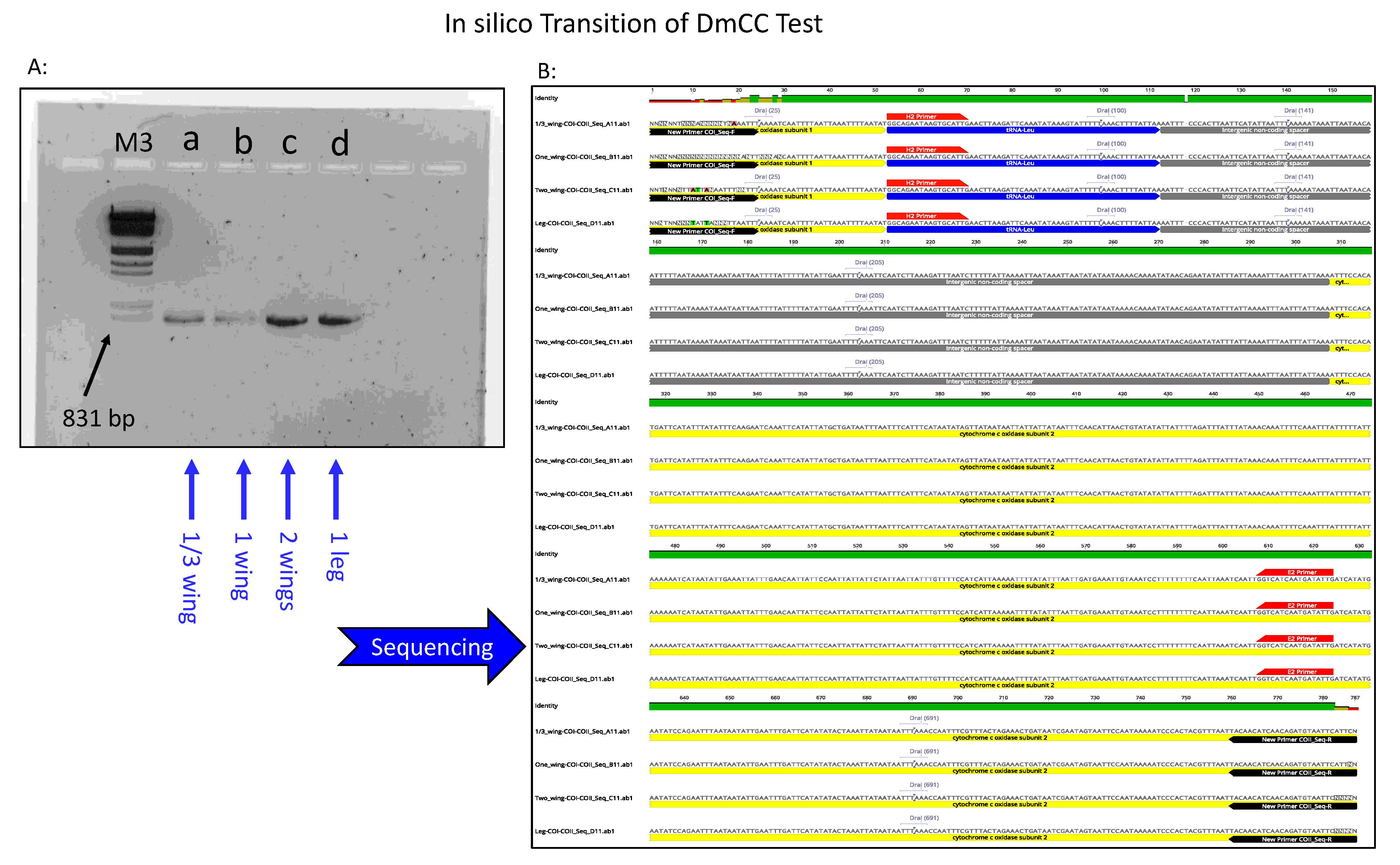 Insects 12 00019 g004