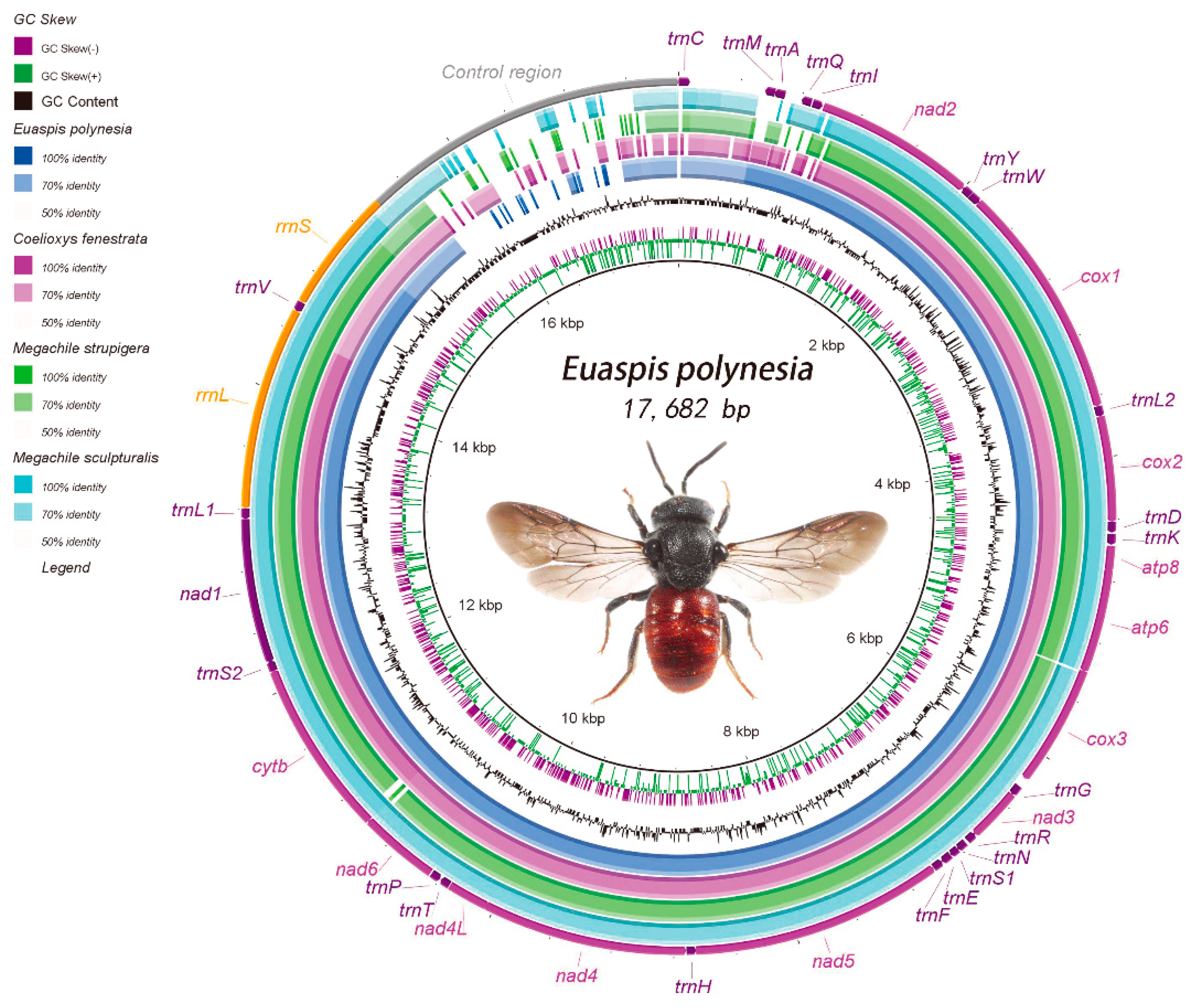 Insects 12 00029 g001 Insects 12 00029 g001
