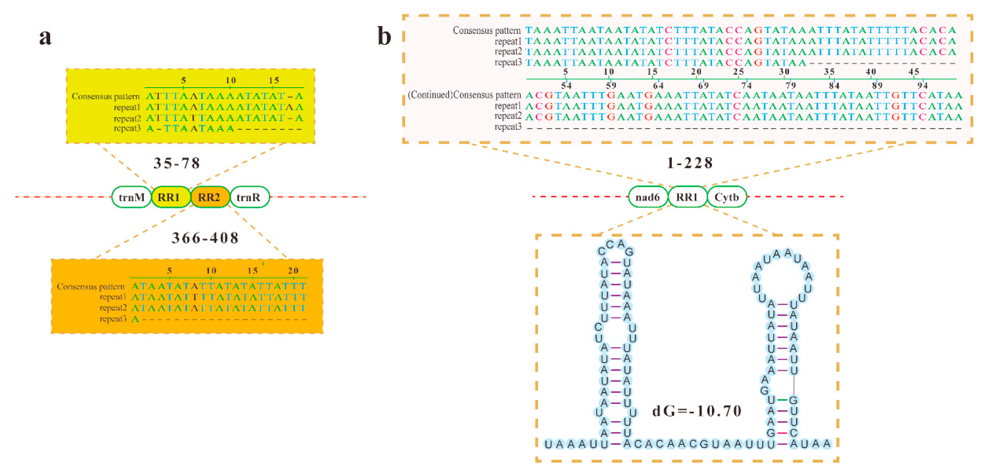 Insects 12 00029 g004 Insects 12 00029 g004
