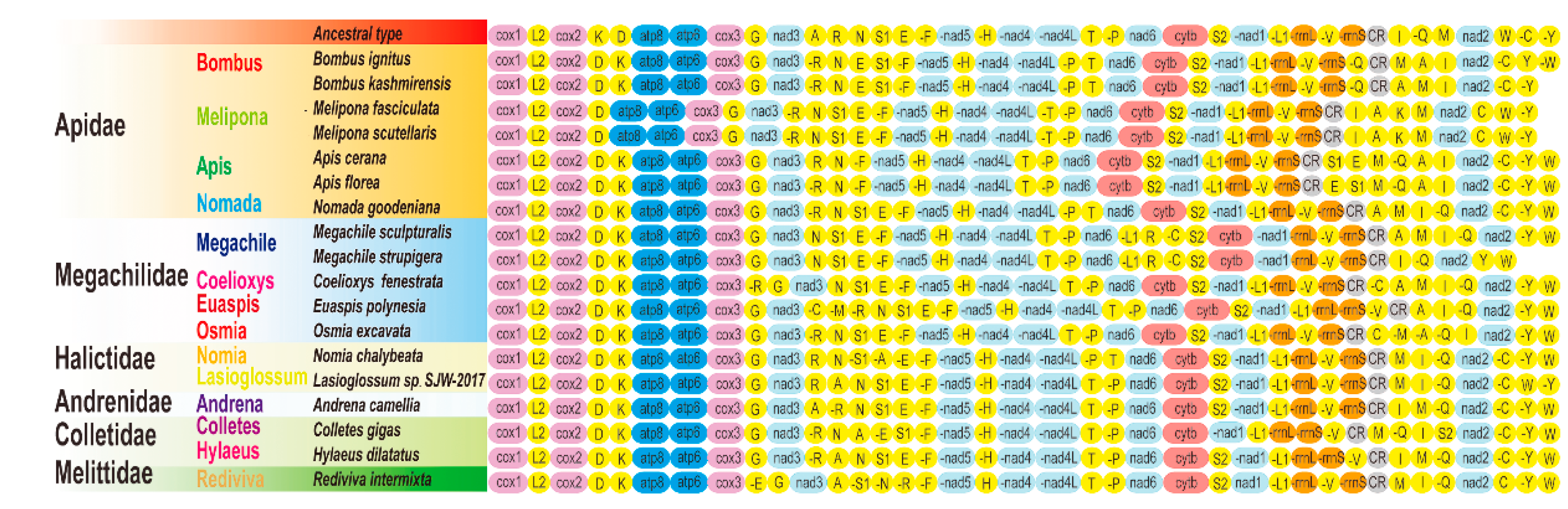 Insects 12 00029 g005 Insects 12 00029 g005