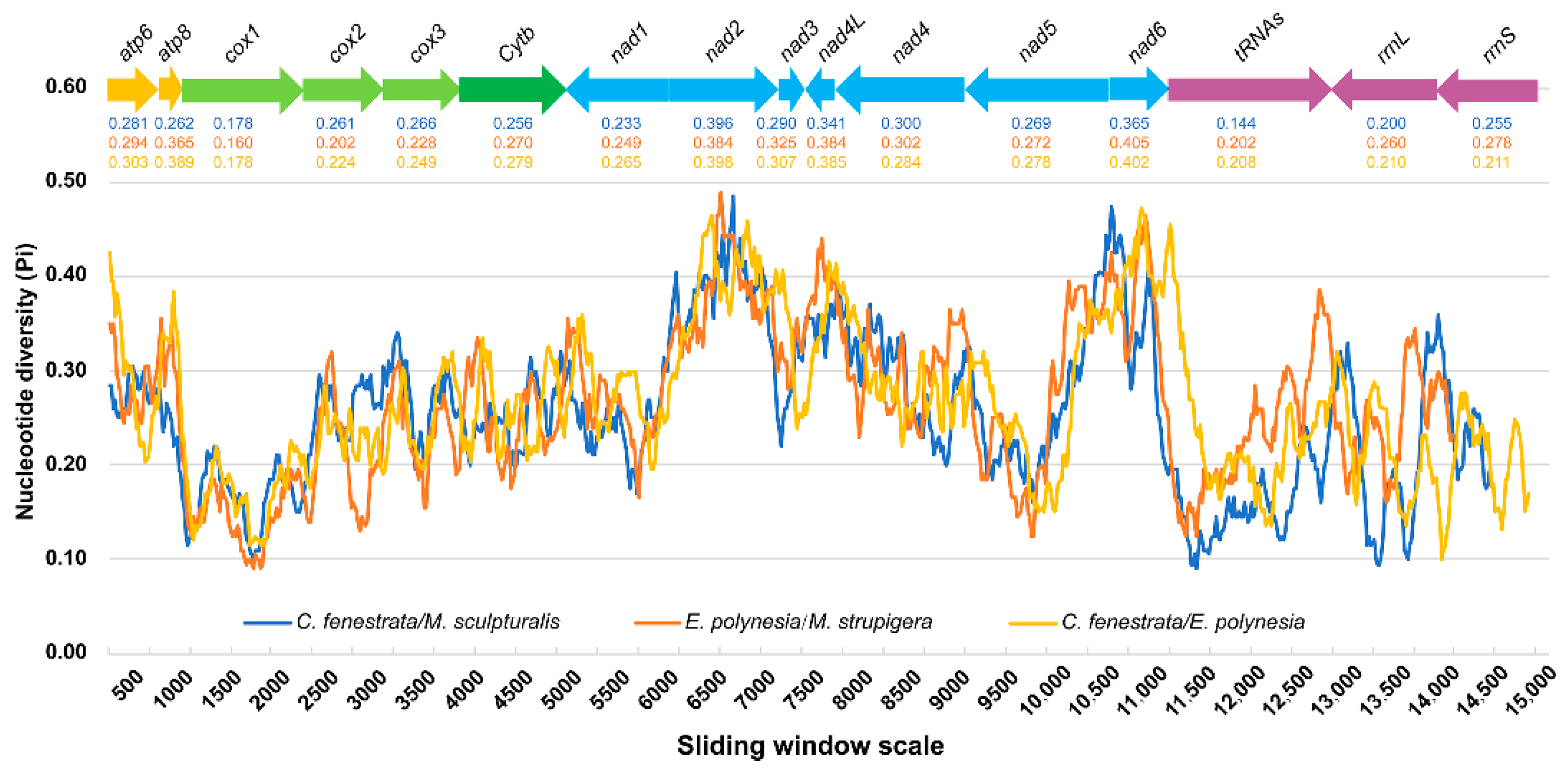 Insects 12 00029 g006 Insects 12 00029 g006