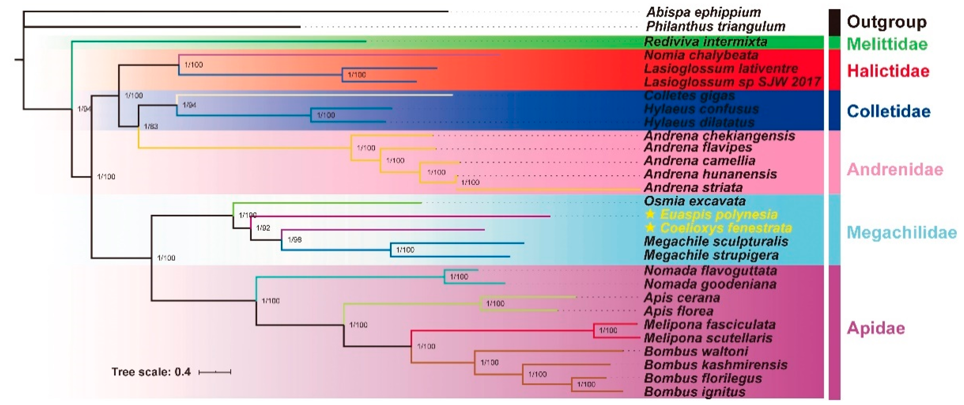 Insects 12 00029 g007 Insects 12 00029 g007