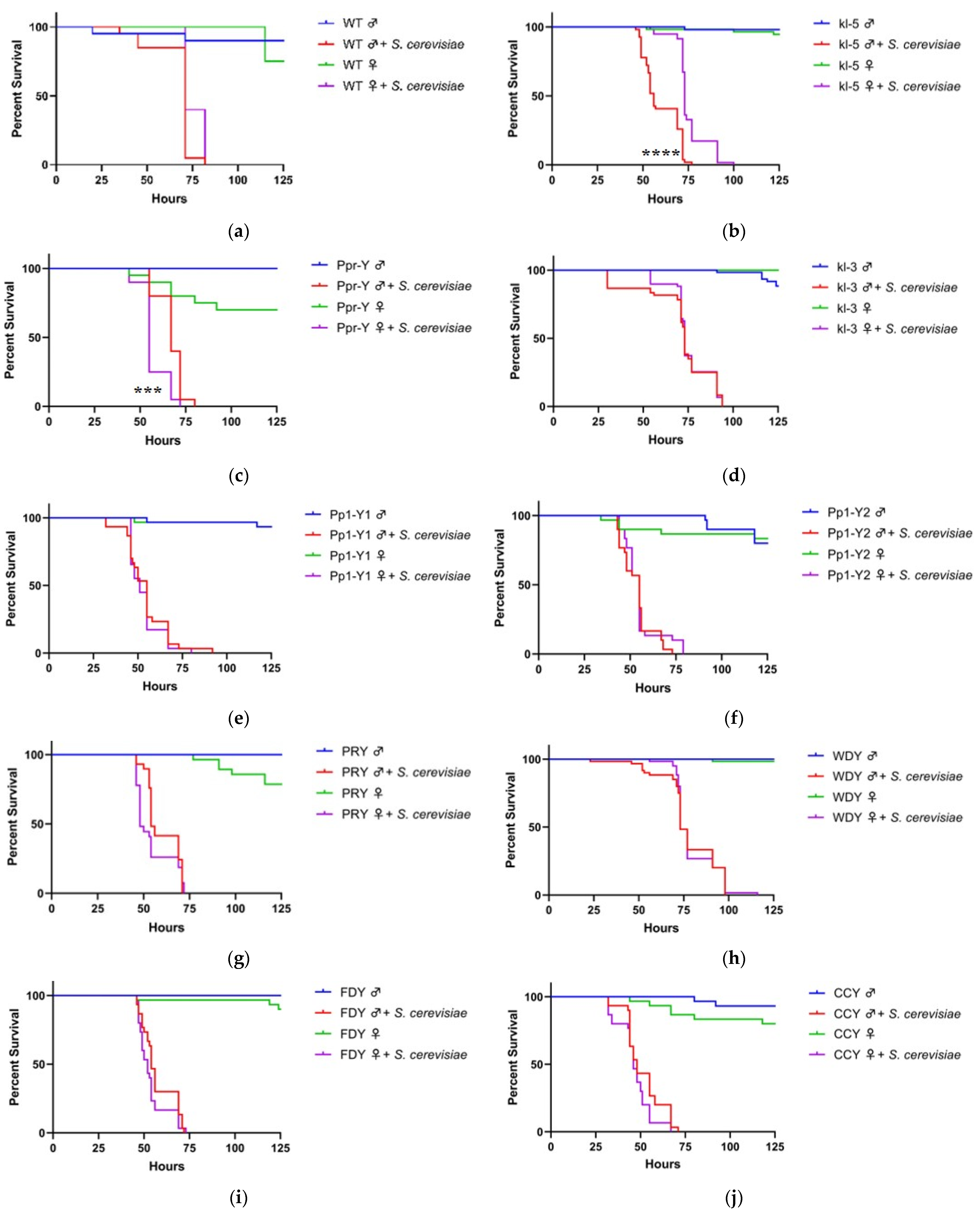 Insects 12 00030 g001a Insects 12 00030 g001a